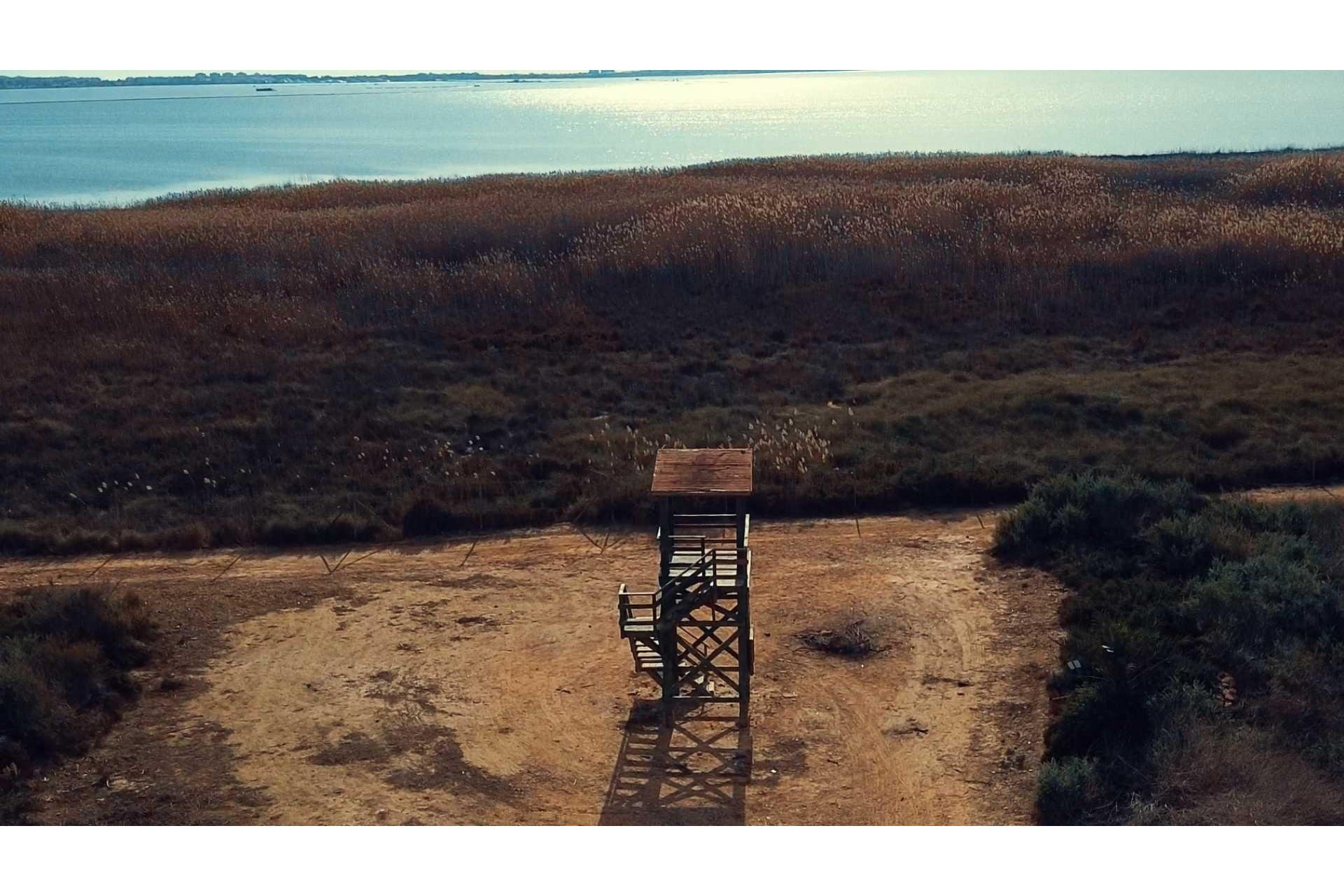 Obra nueva - Villa - Los Montesinos - La herrada