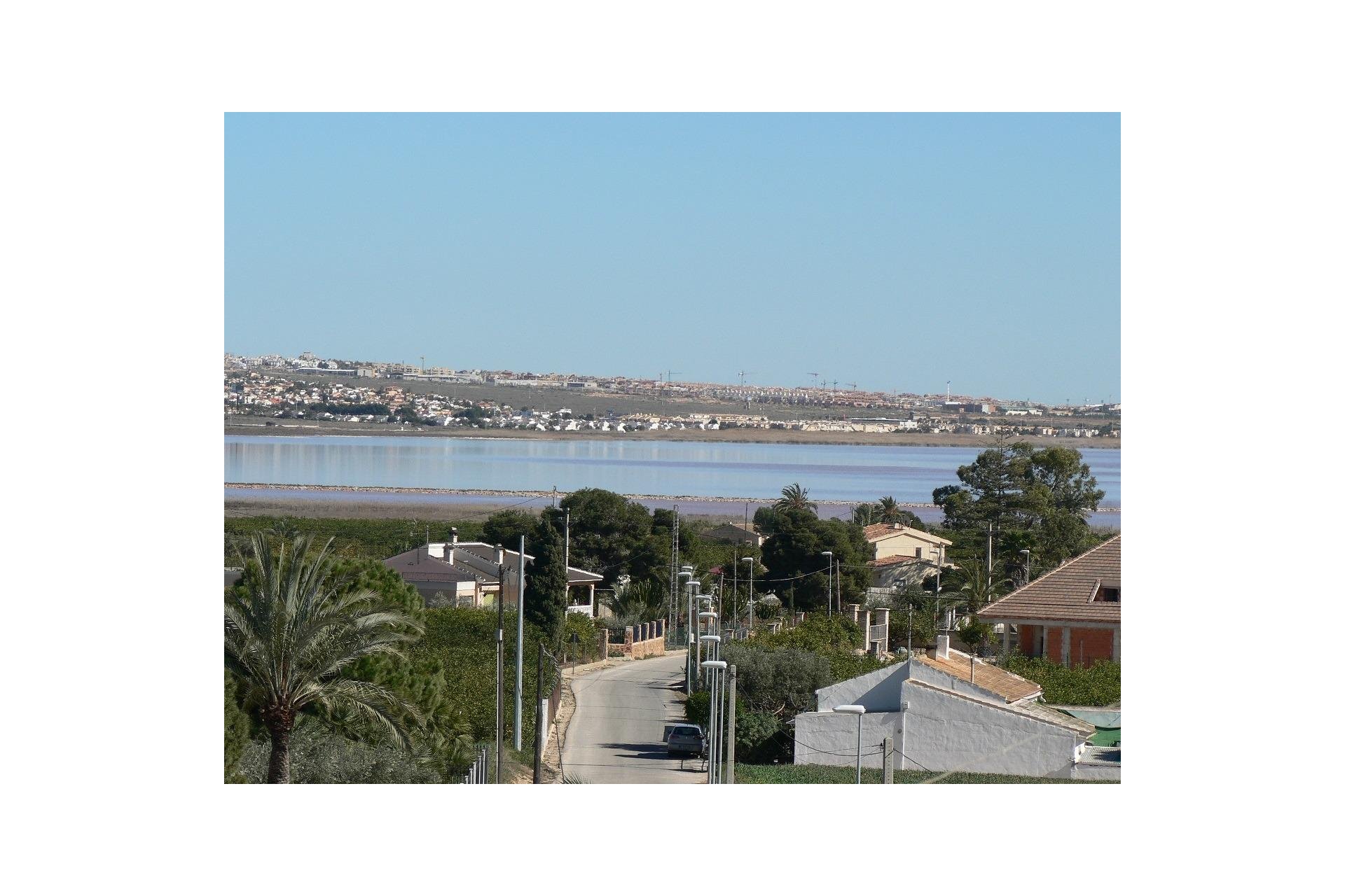 Obra nueva - Villa - Los Montesinos - La herrada