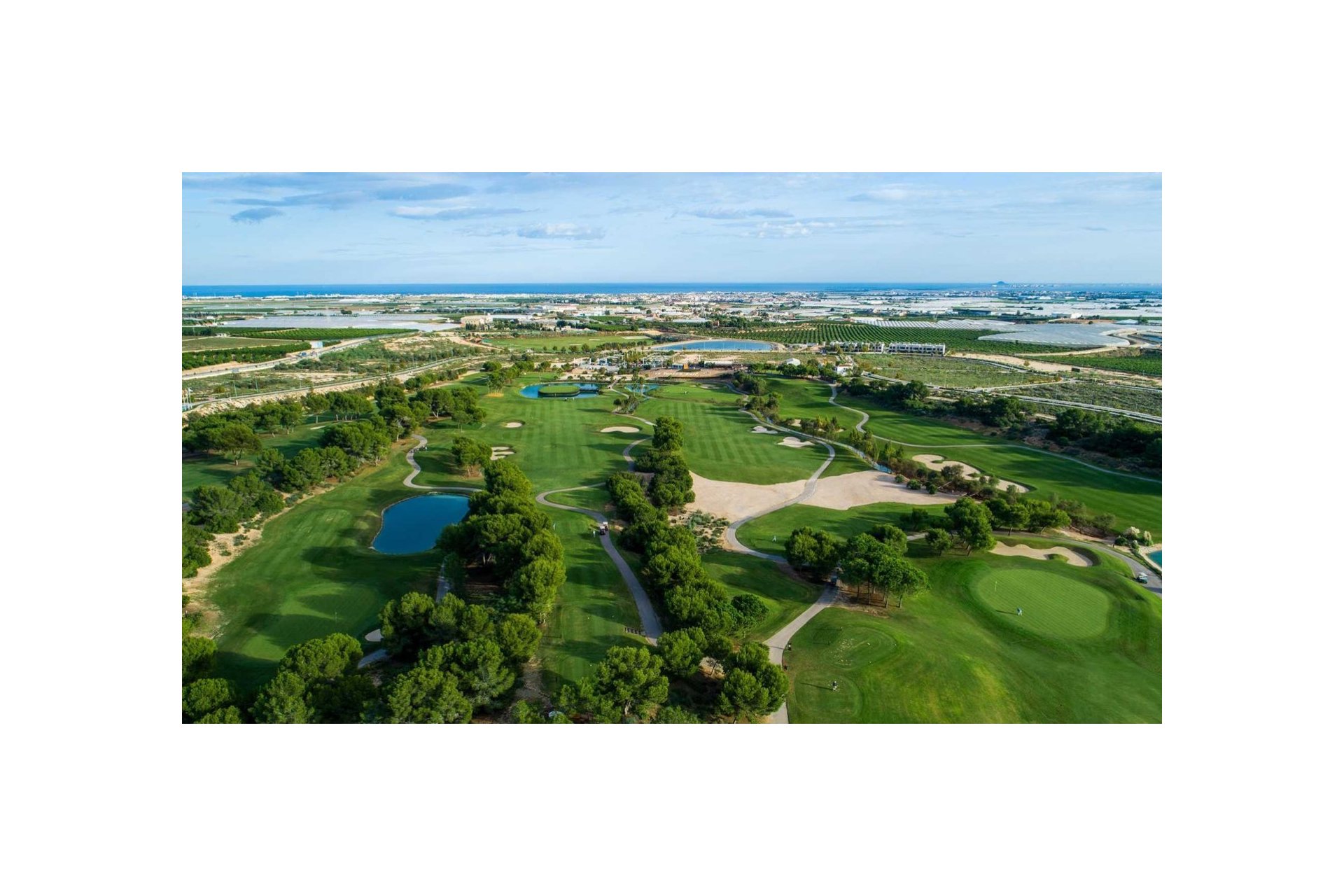 Obra nueva - Villa - Pilar de la Horadada - Lo Romero Golf