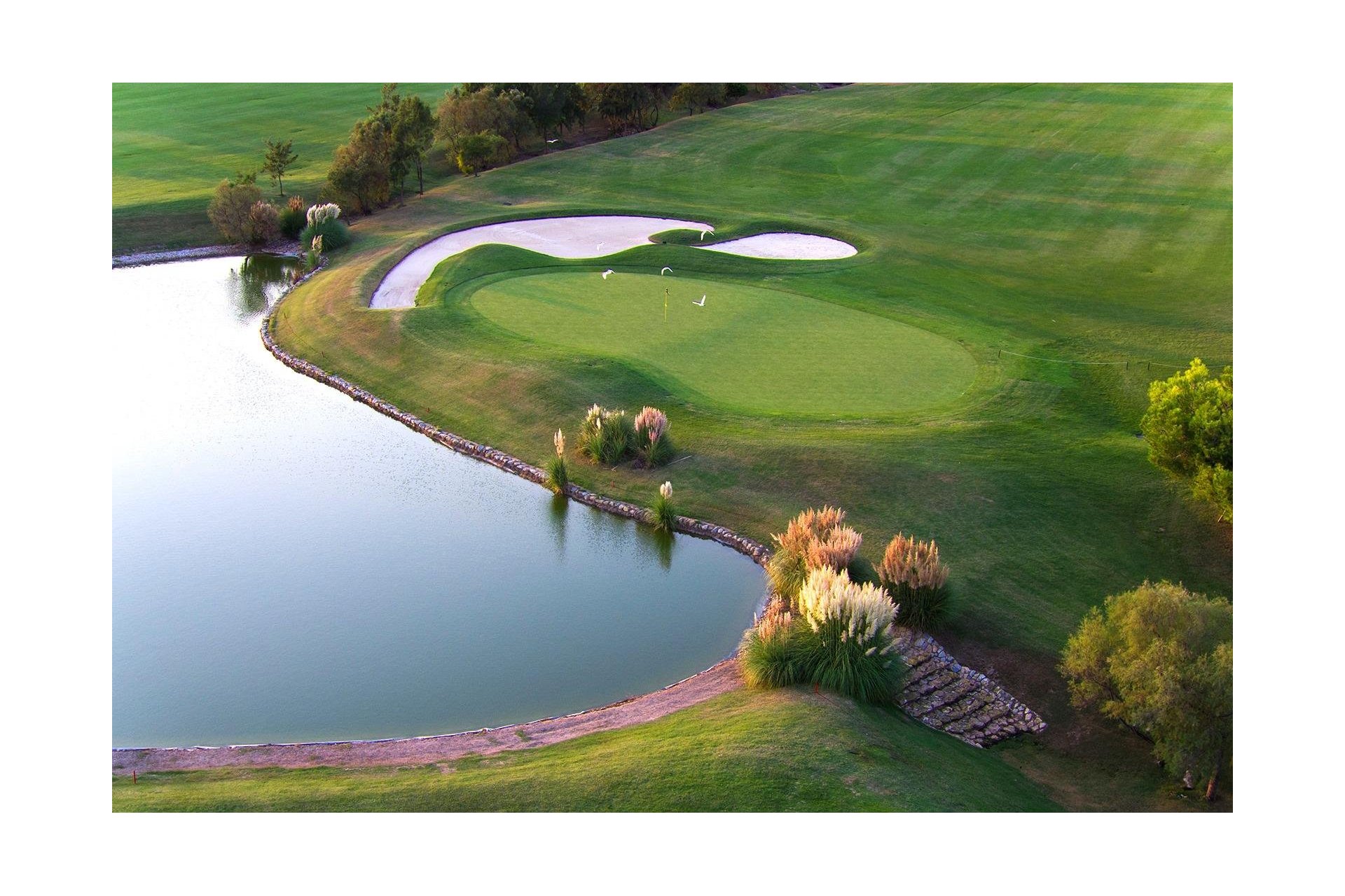 Obra nueva - Villa - Pilar de la Horadada - Lo Romero Golf