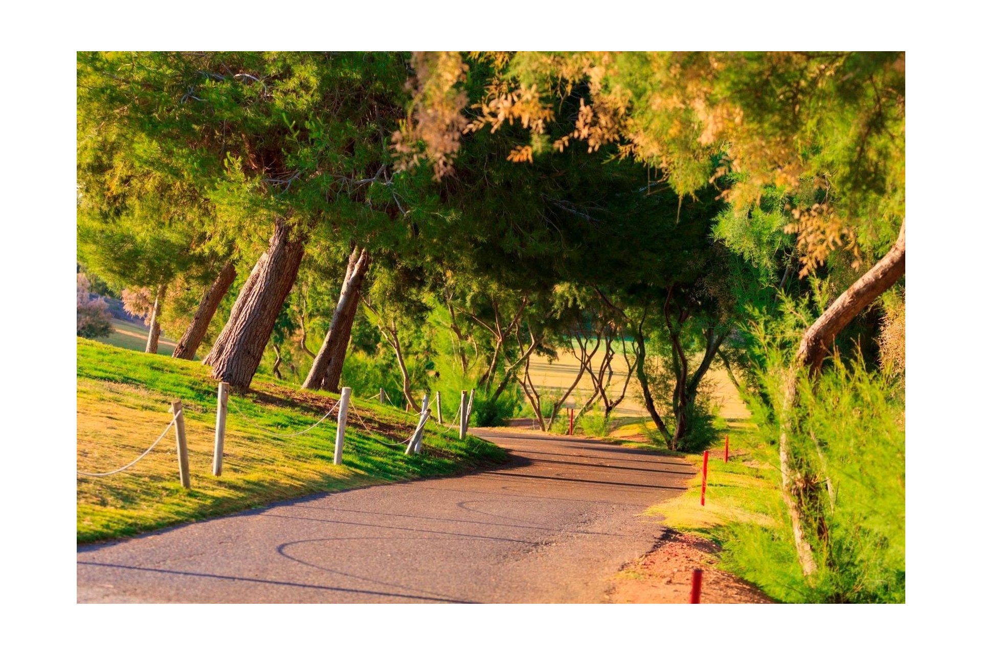 Obra nueva - Villa - Pilar de la Horadada - Lo Romero Golf
