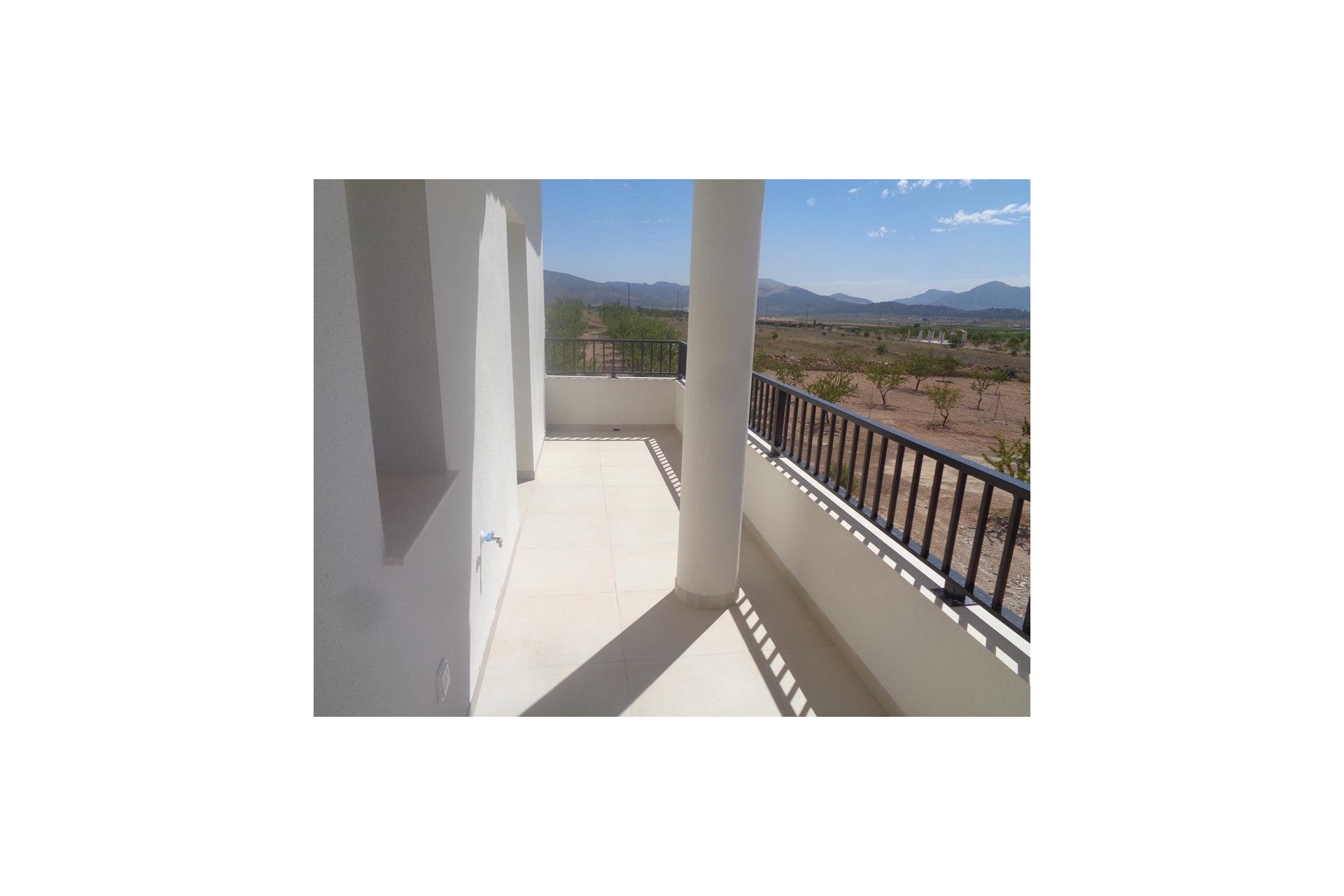 Obra nueva - Villa - Pinoso - Camino Del Prado