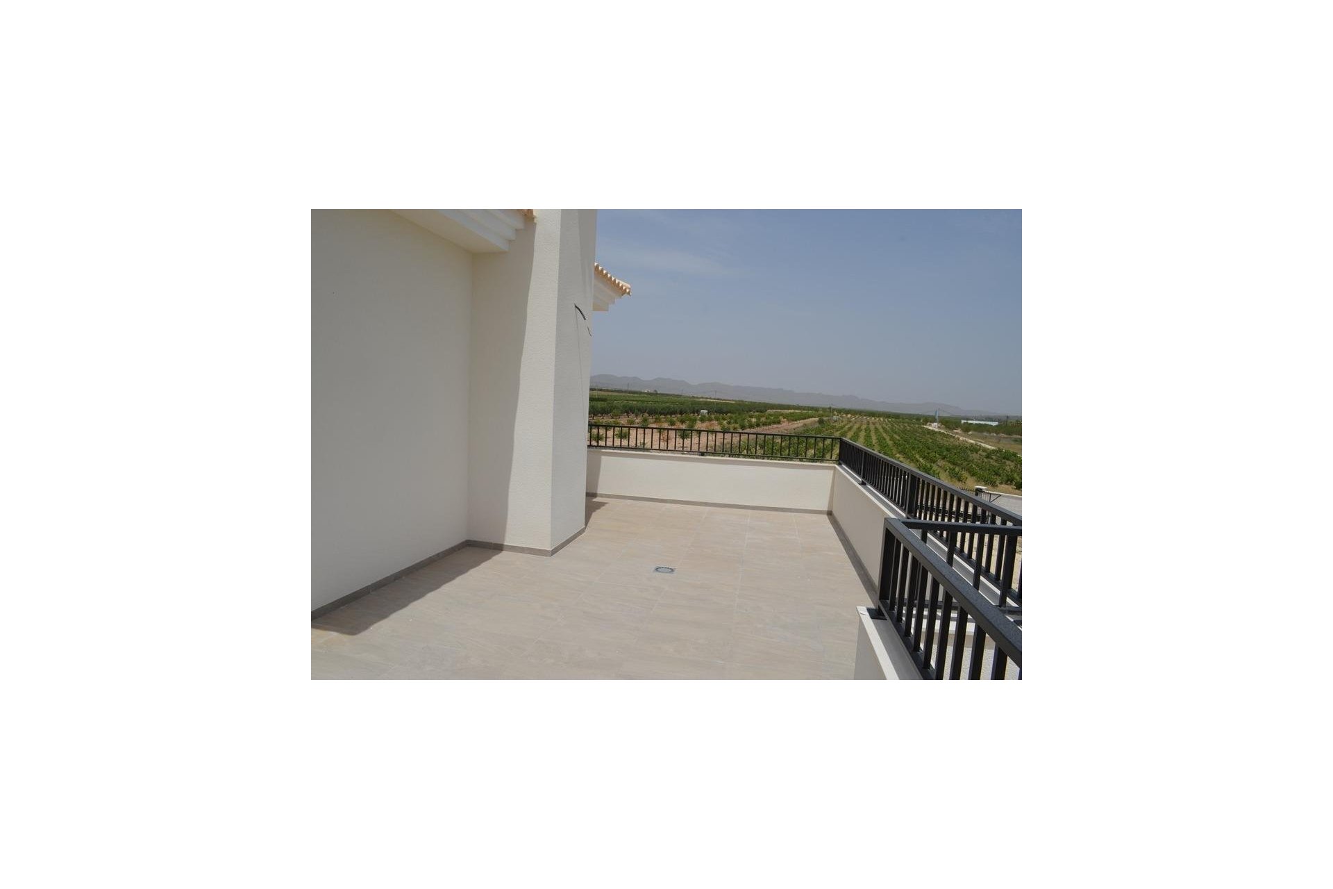 Obra nueva - Villa - Pinoso - Camino Del Prado