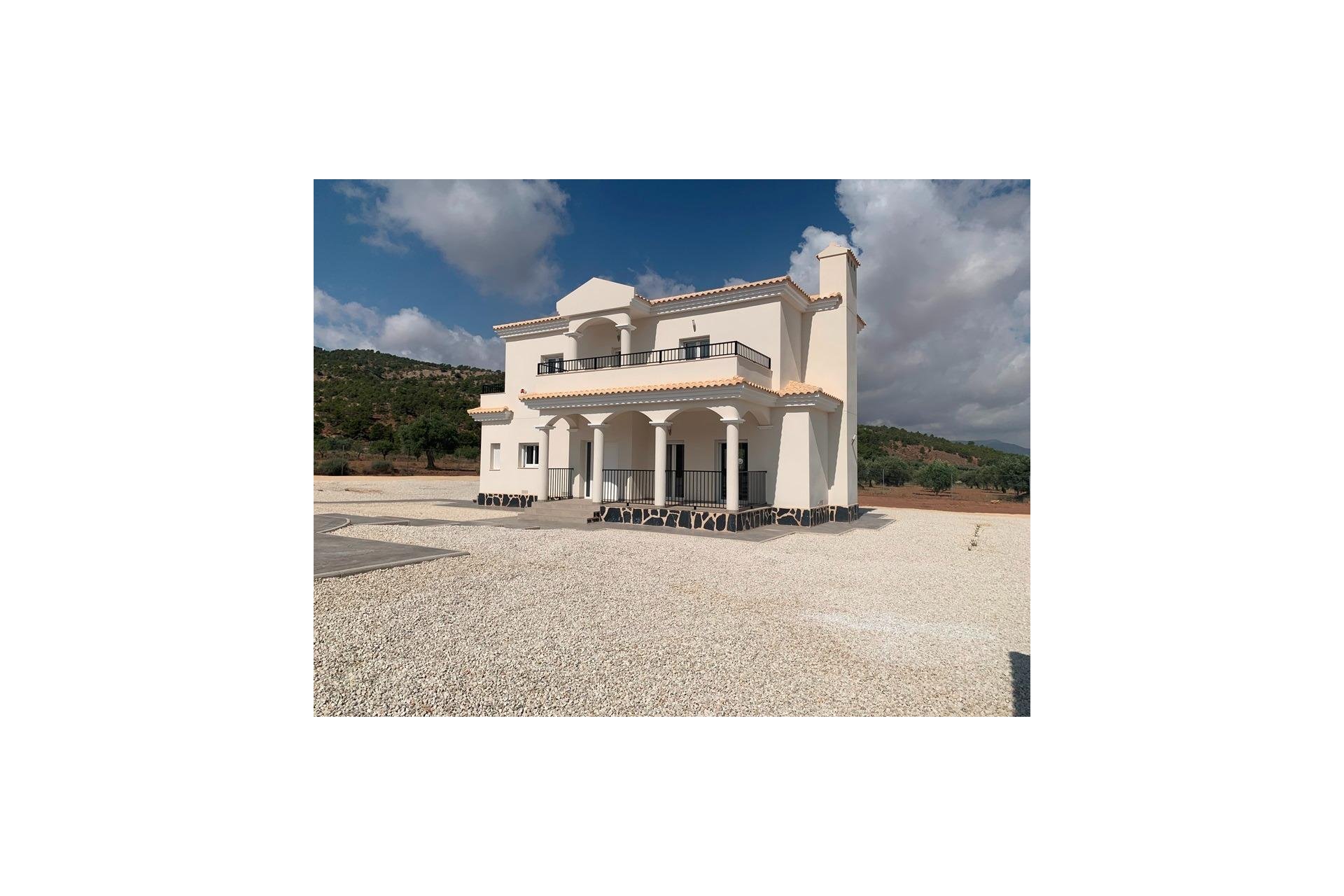 Obra nueva - Villa - Pinoso - Camino Del Prado