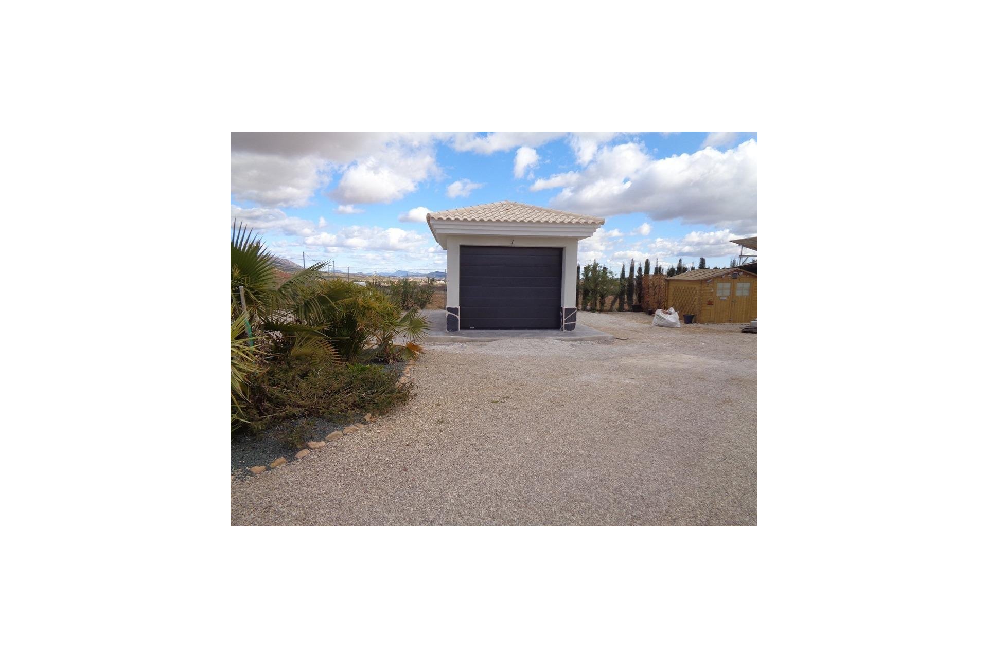 Obra nueva - Villa - Pinoso - Camino Del Prado