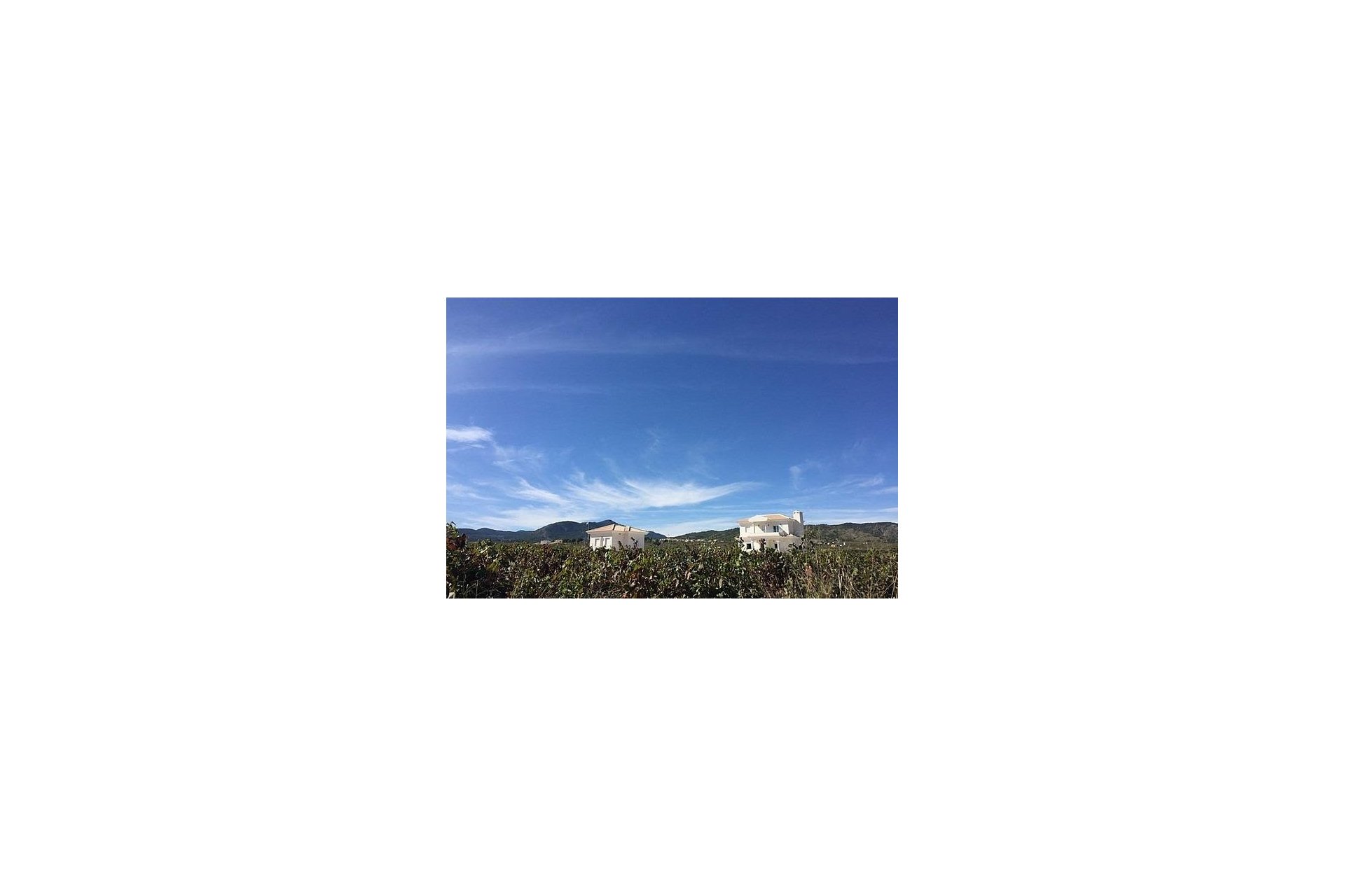 Obra nueva - Villa - Pinoso - Camino Del Prado
