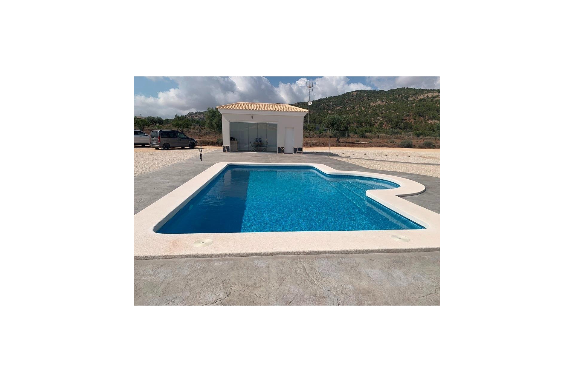 Obra nueva - Villa - Pinoso - Camino Del Prado