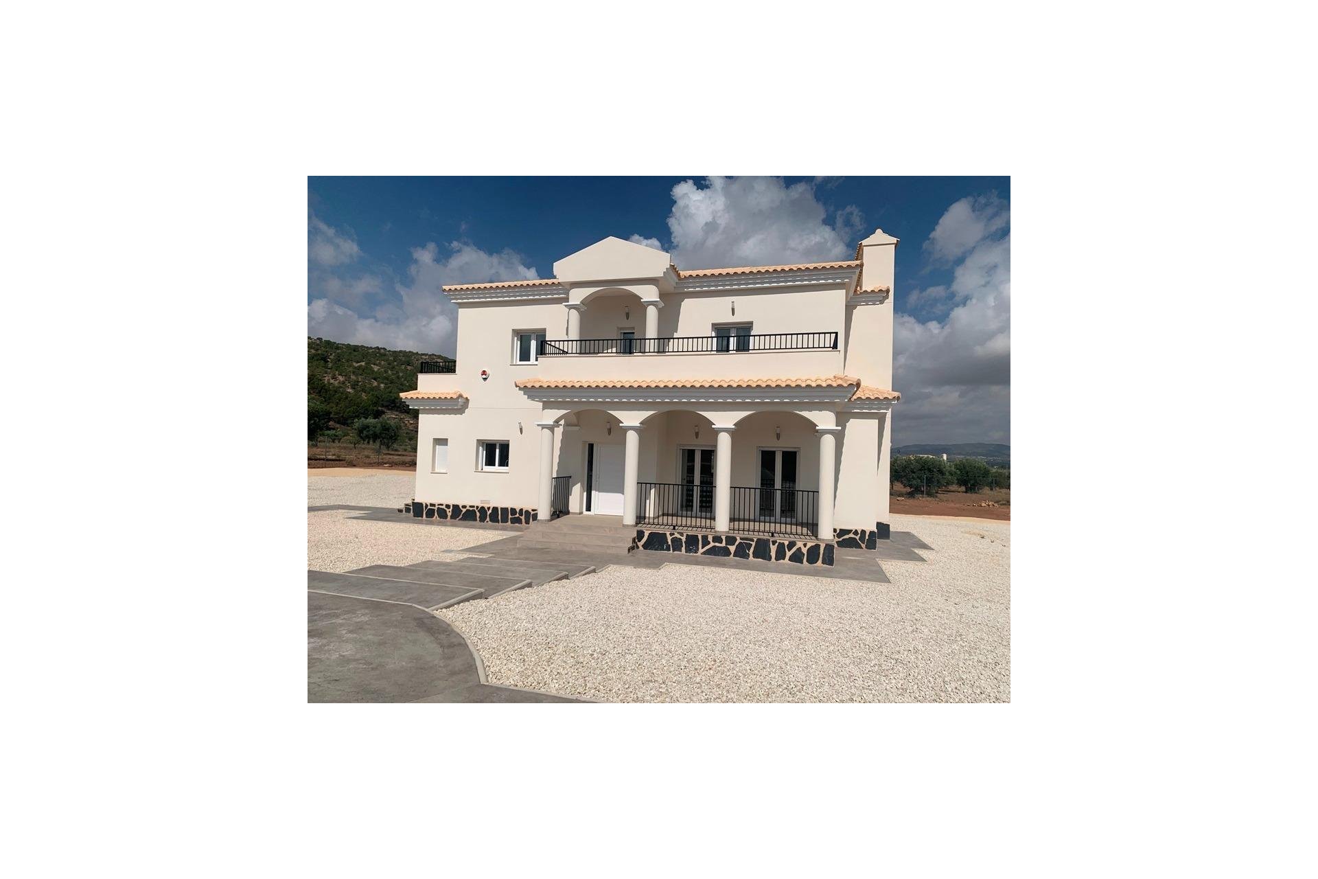 Obra nueva - Villa - Pinoso - Camino Del Prado
