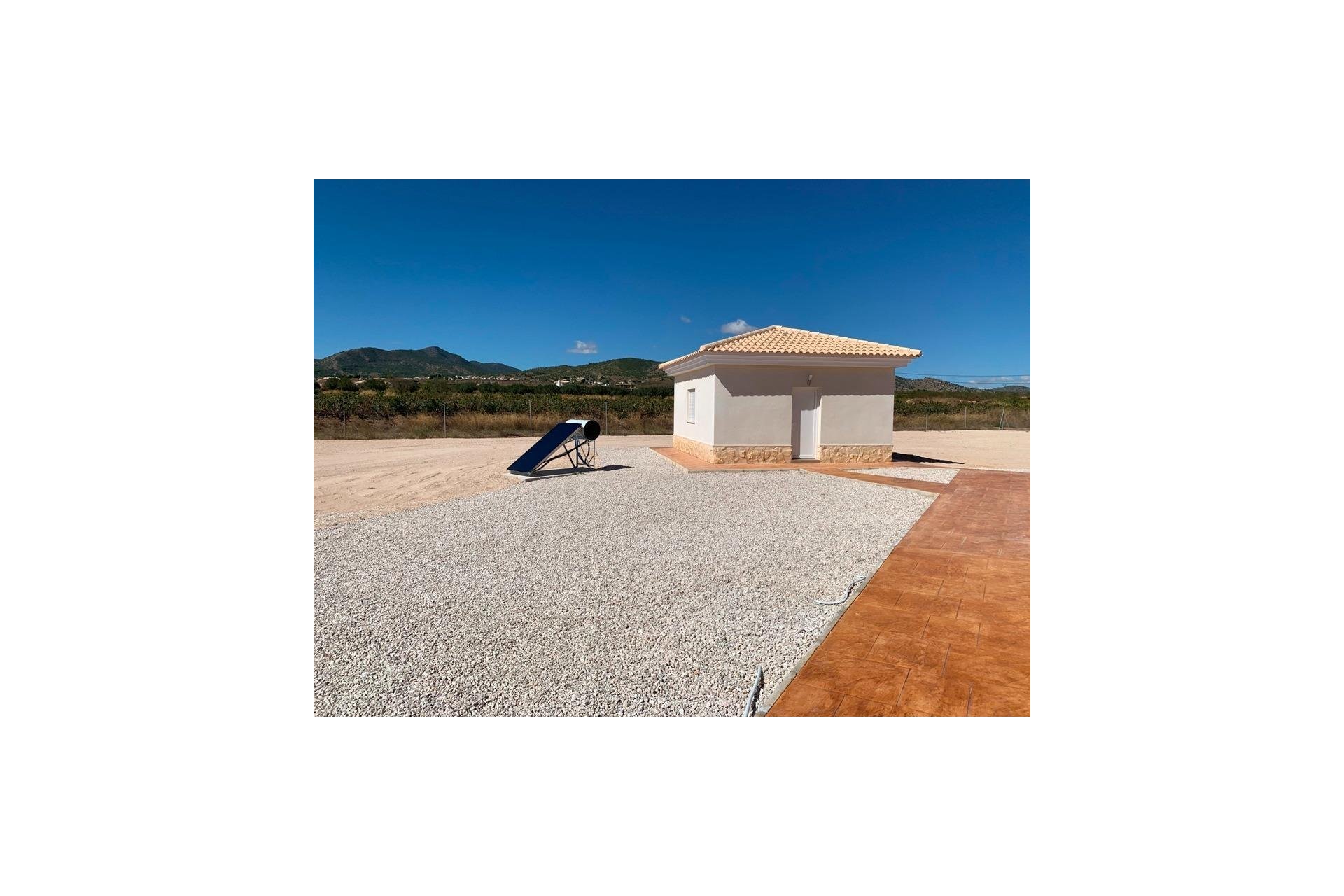 Obra nueva - Villa - Pinoso - Camino Del Prado
