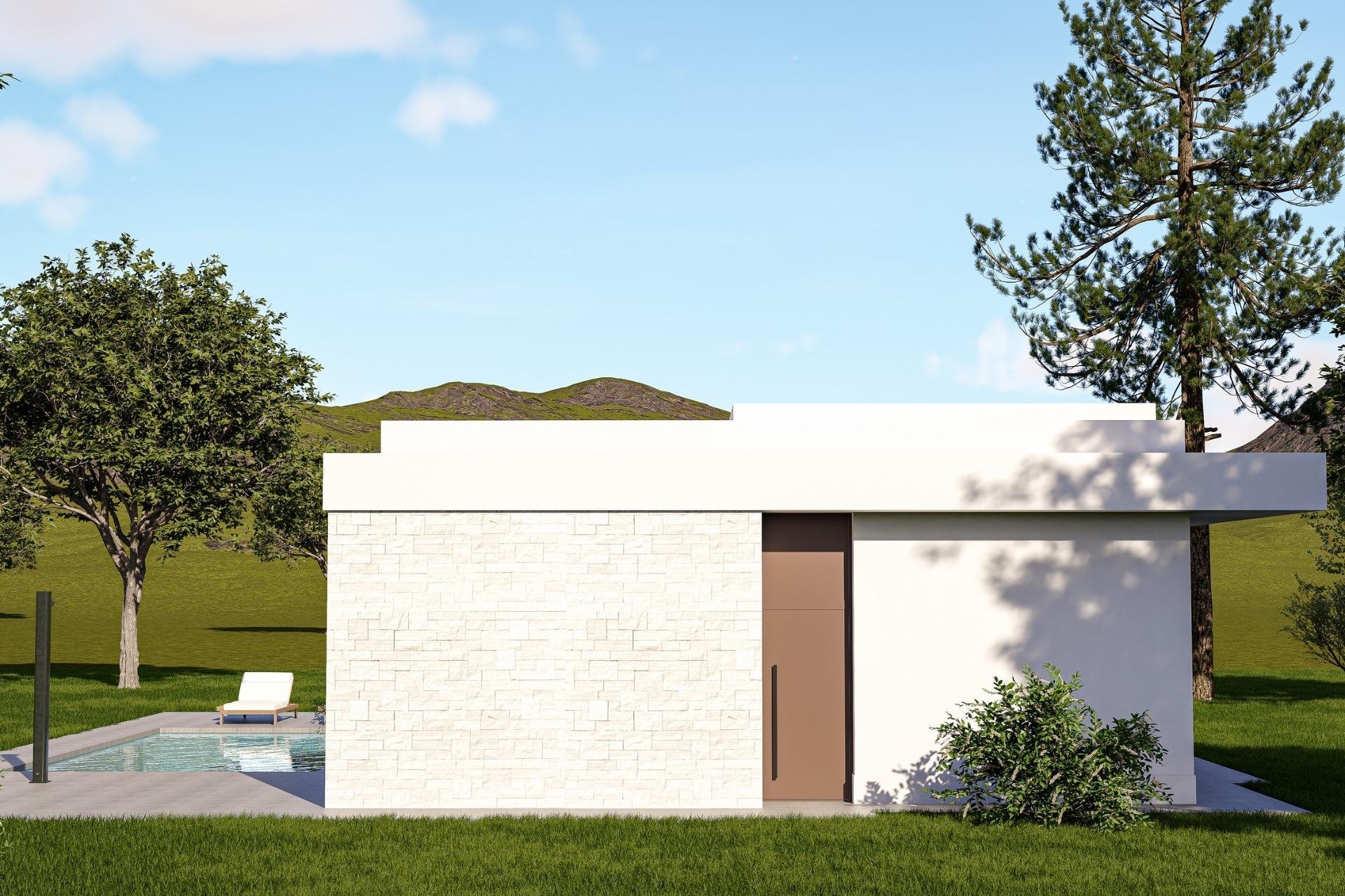 Obra nueva - Villa - Pinoso - Lel