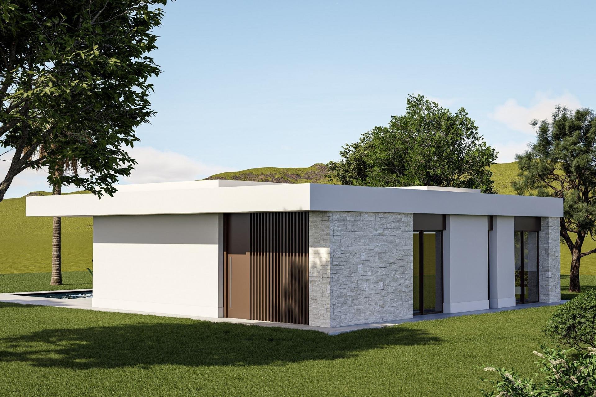 Obra nueva - Villa - Pinoso - Lel