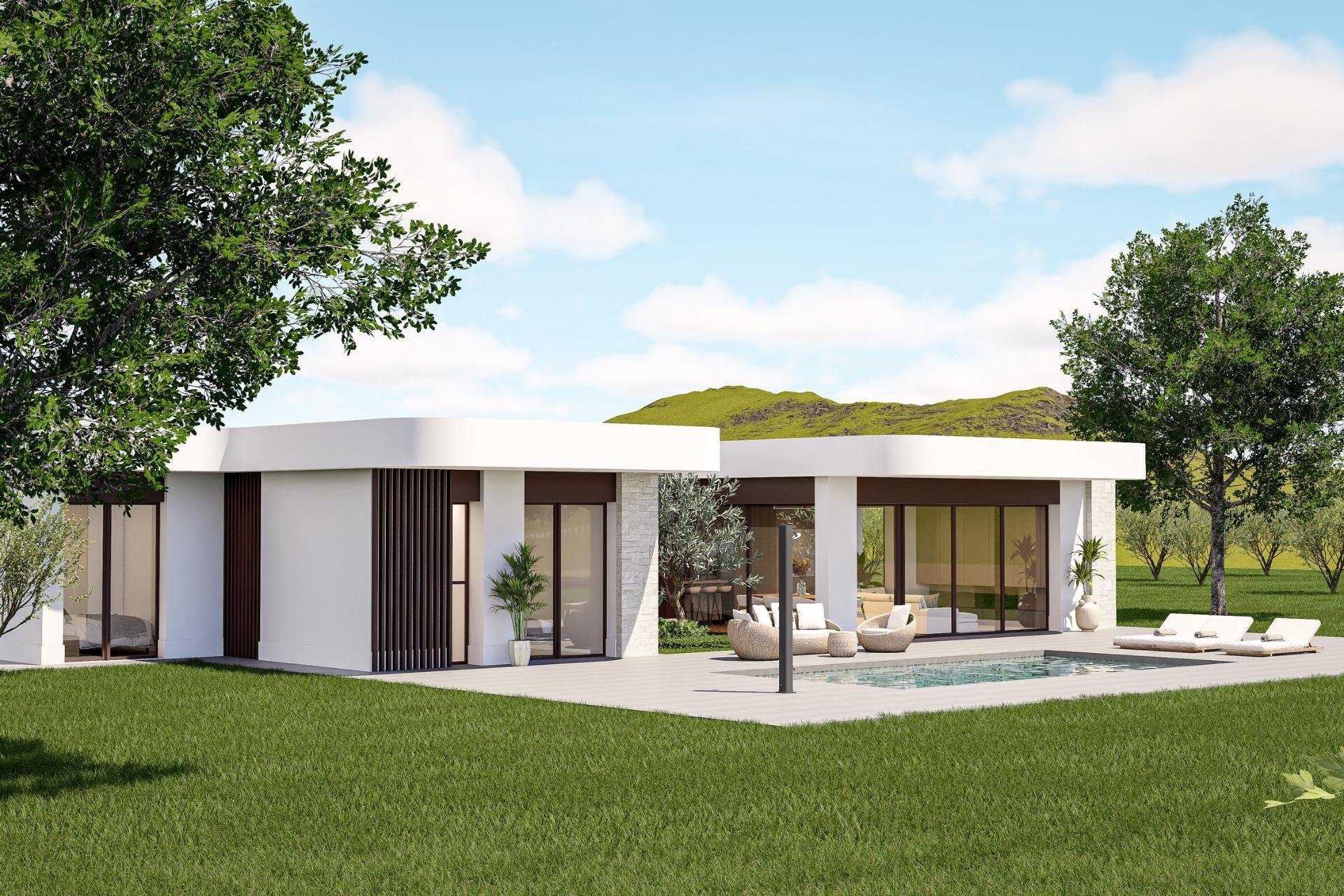 Obra nueva - Villa - Pinoso - Lel