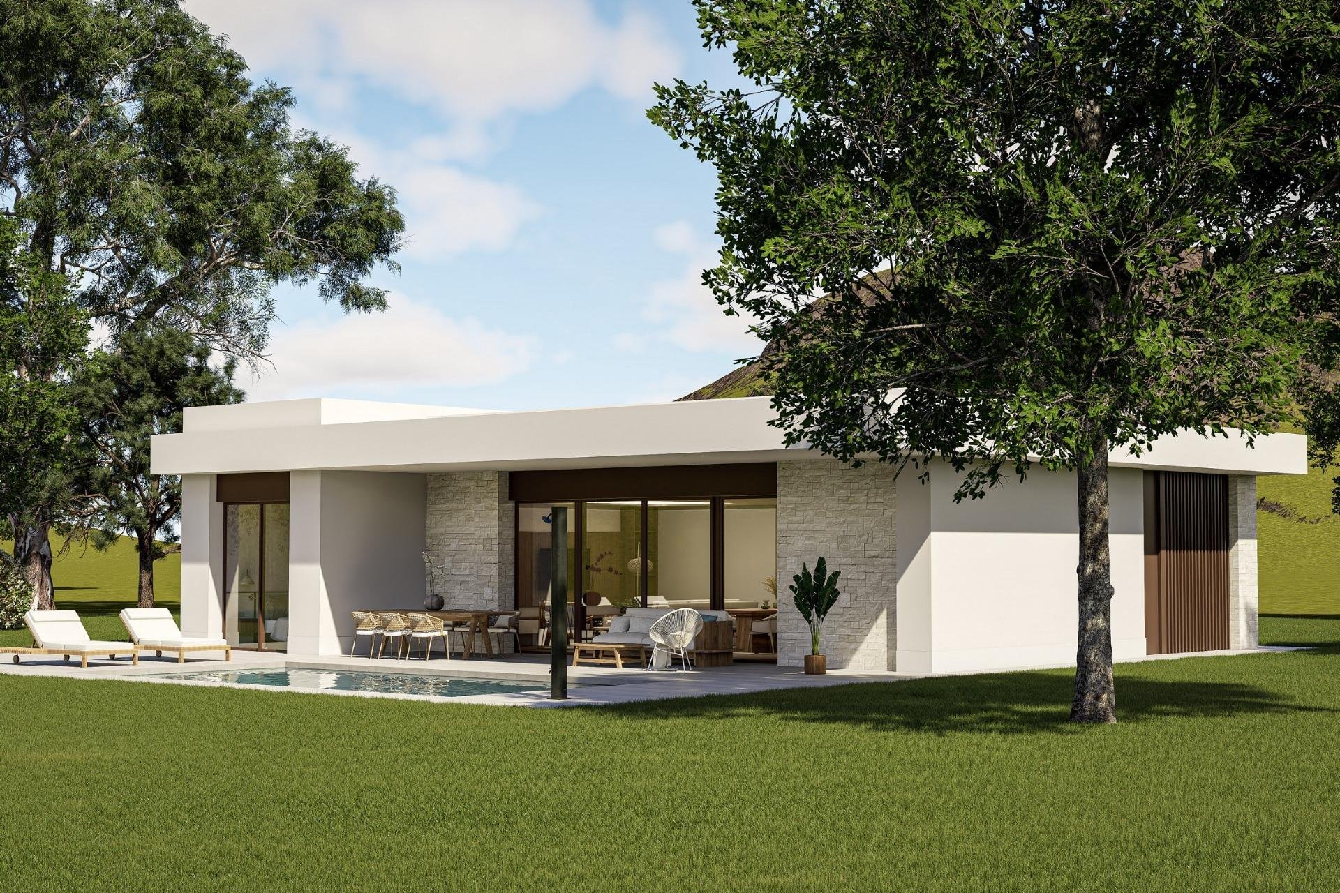 Obra nueva - Villa - Pinoso - Lel