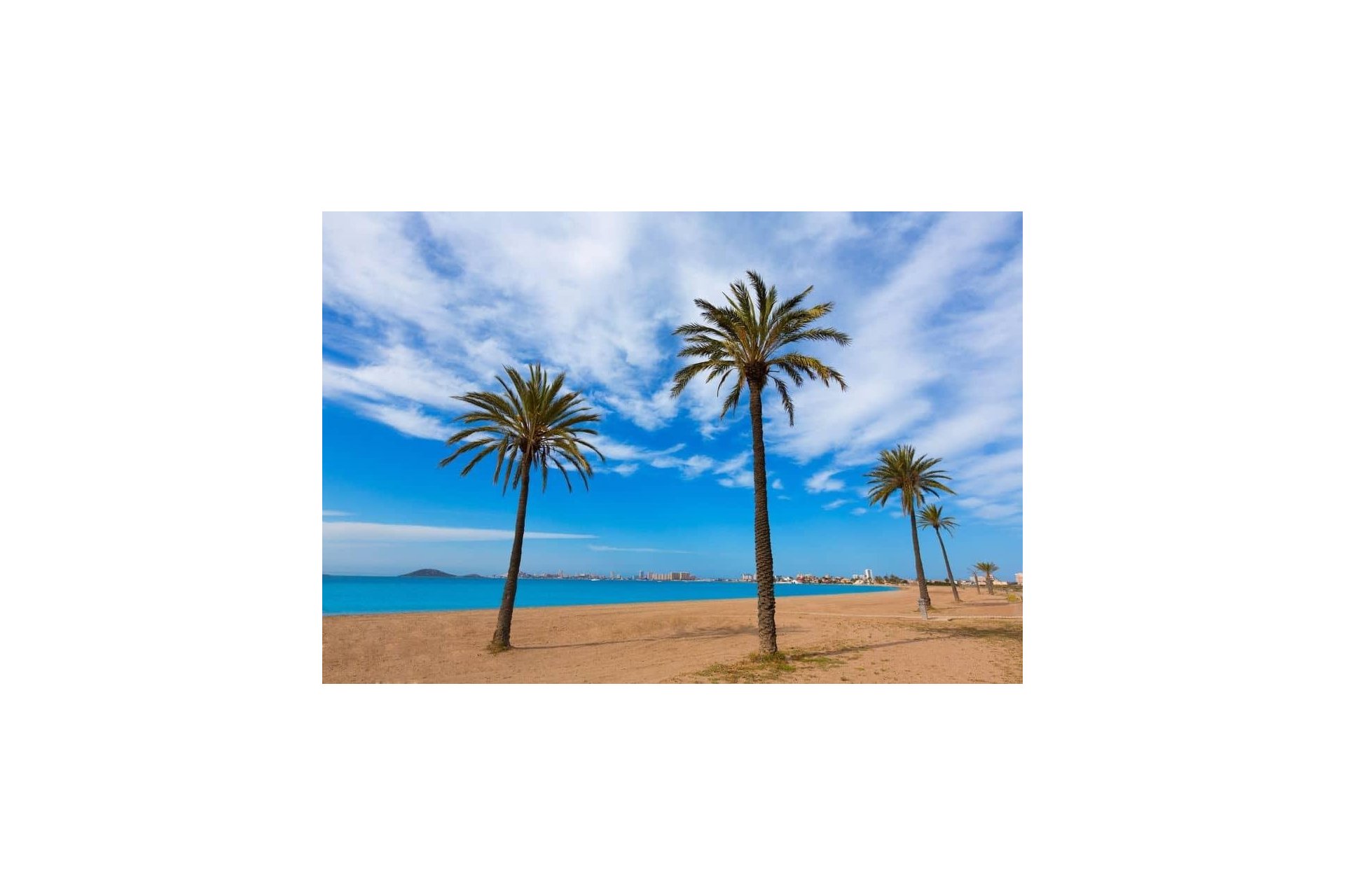 Obra nueva - Villa - Torre Pacheco - Roldán