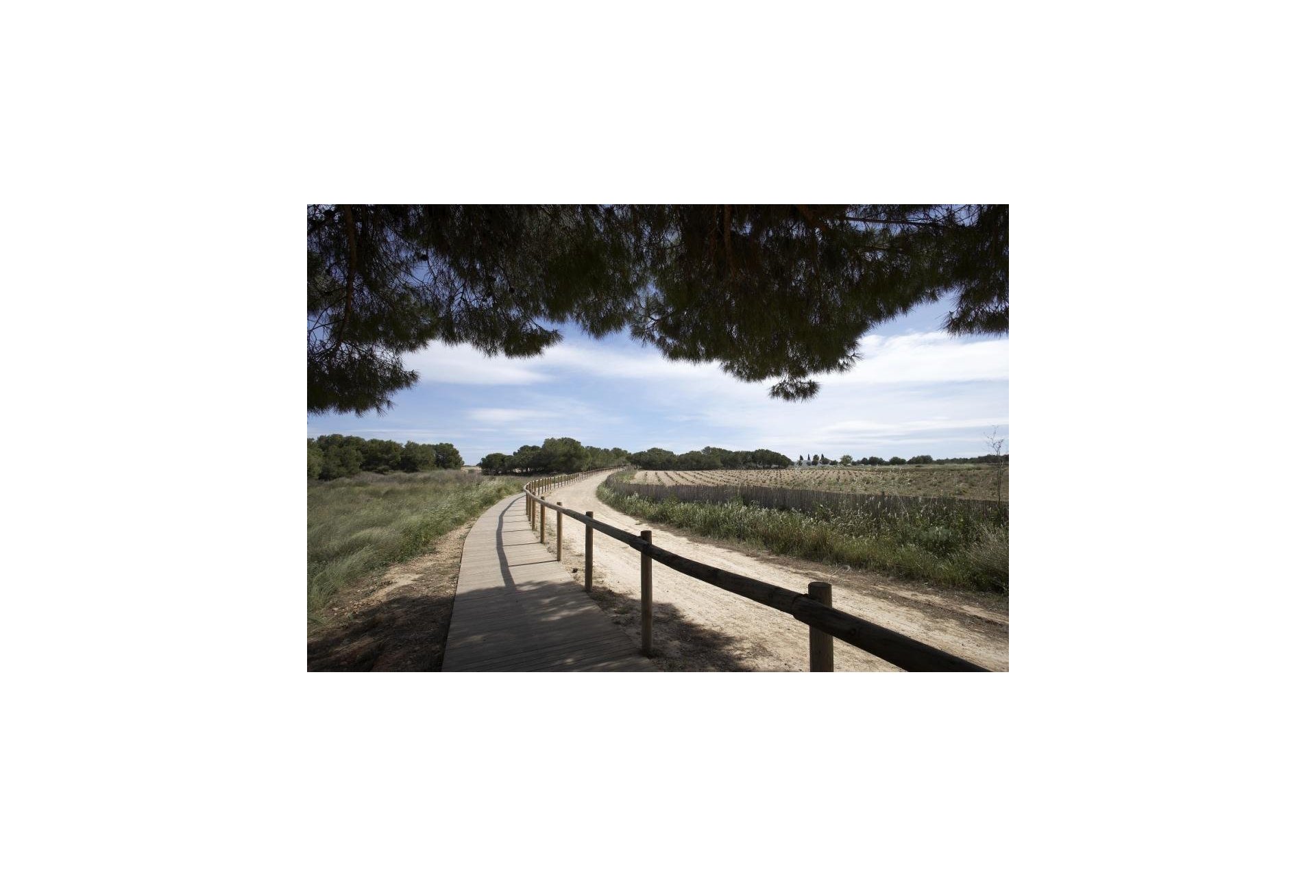 Obra nueva - Villa - Torrevieja - Sector 25