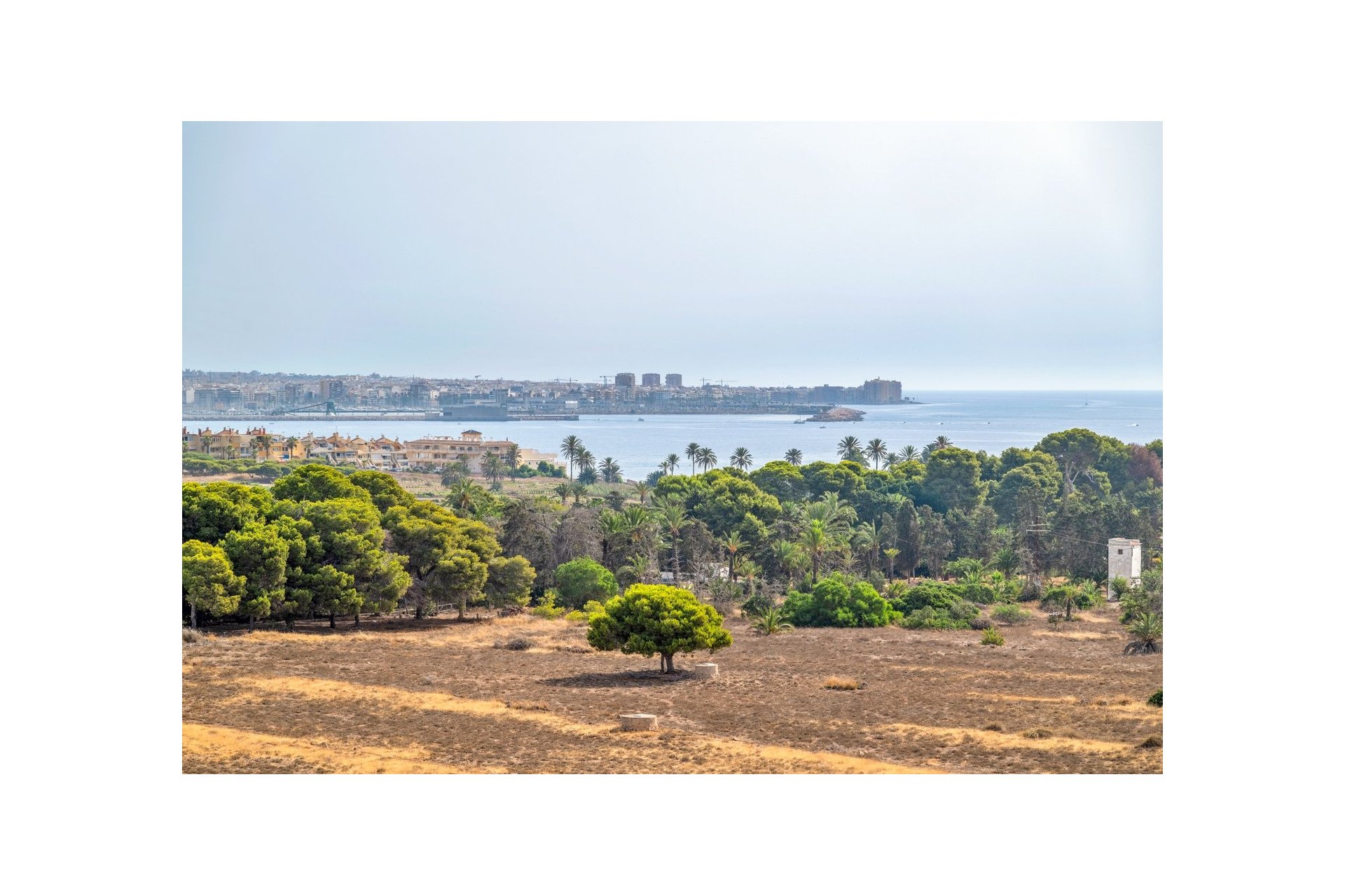 Resale - Apartment - Torrevieja - Punta Prima
