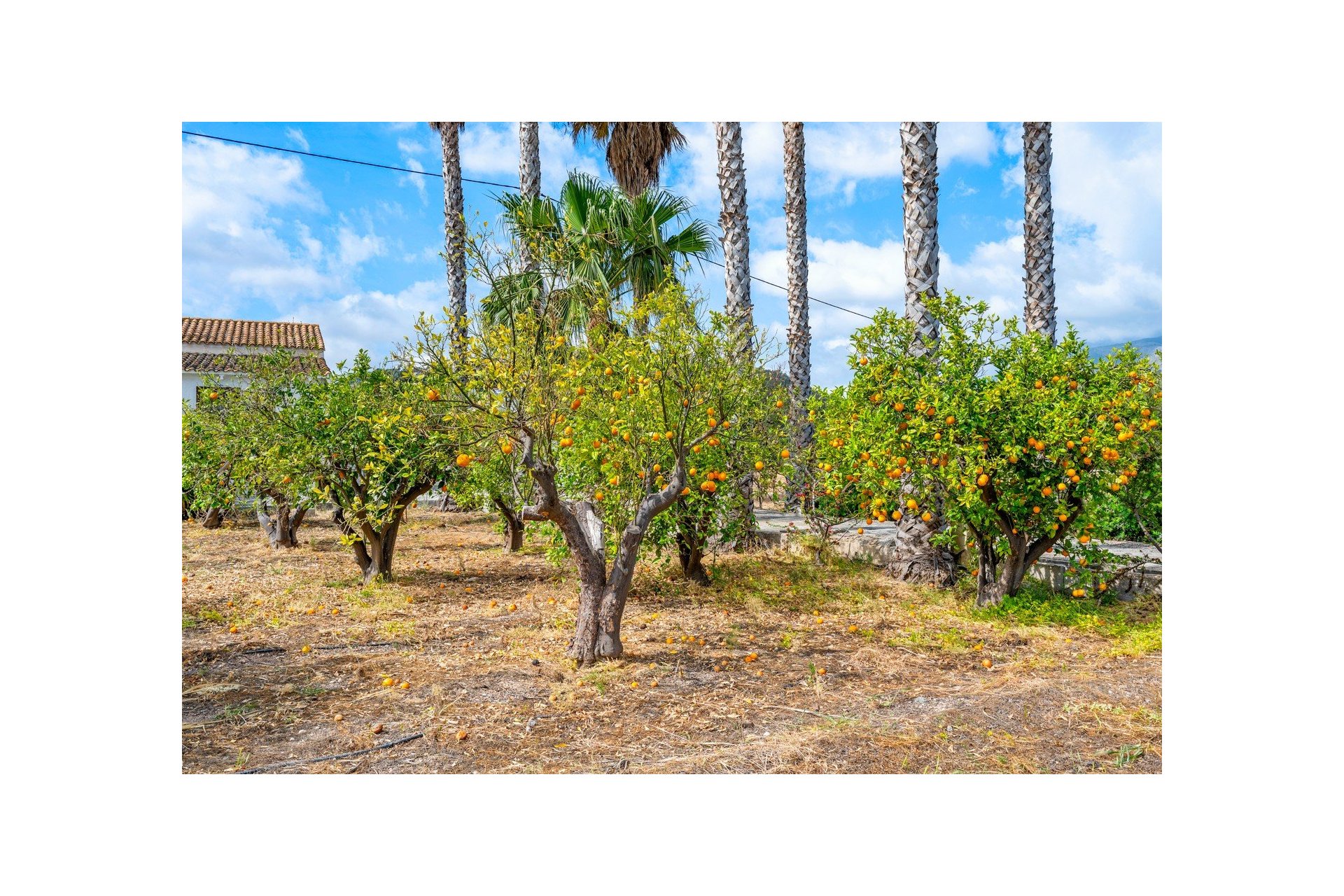 Resale - Country estate - La Nucía
