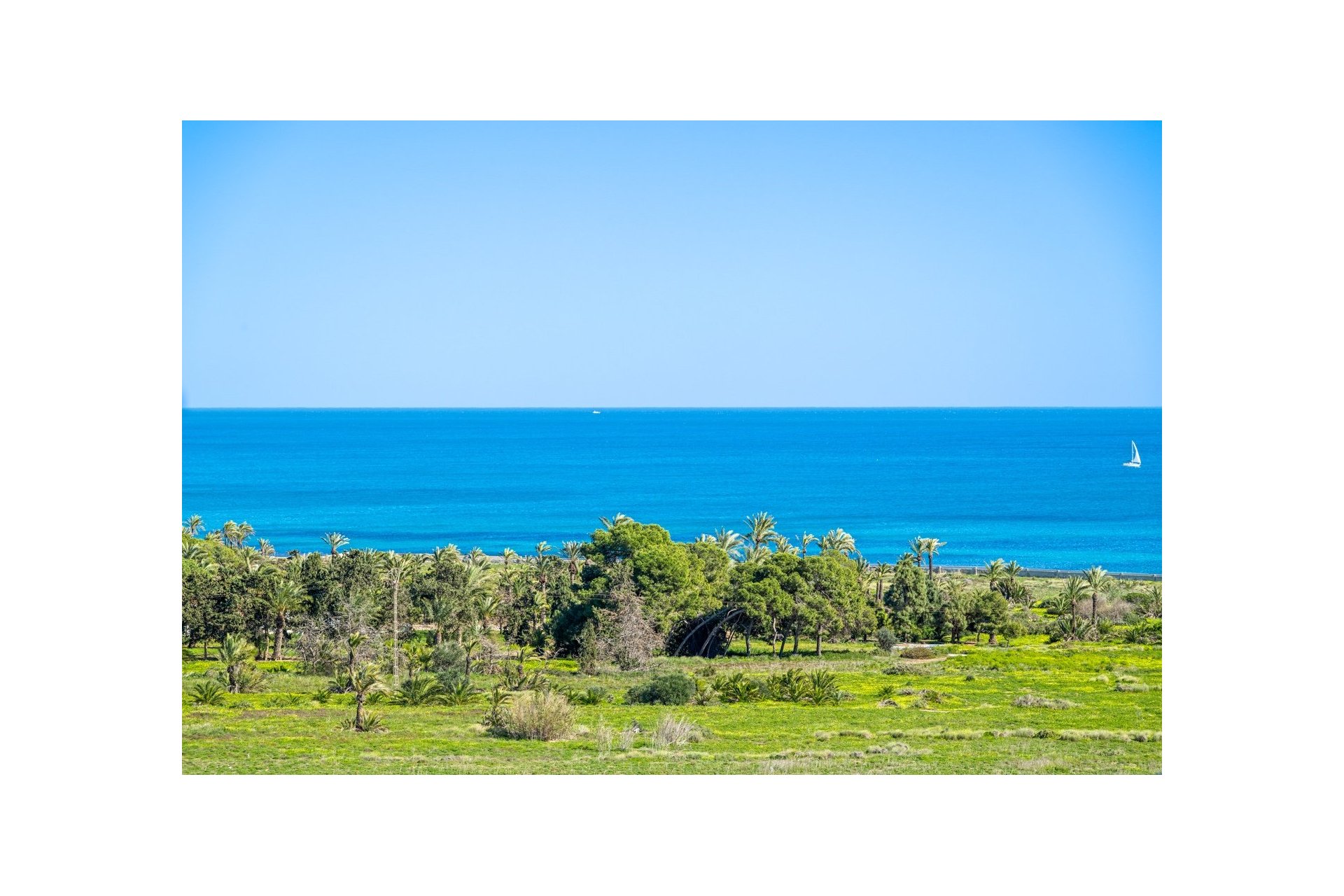 Resale - Penthouse - Orihuela Costa - Punta Prima
