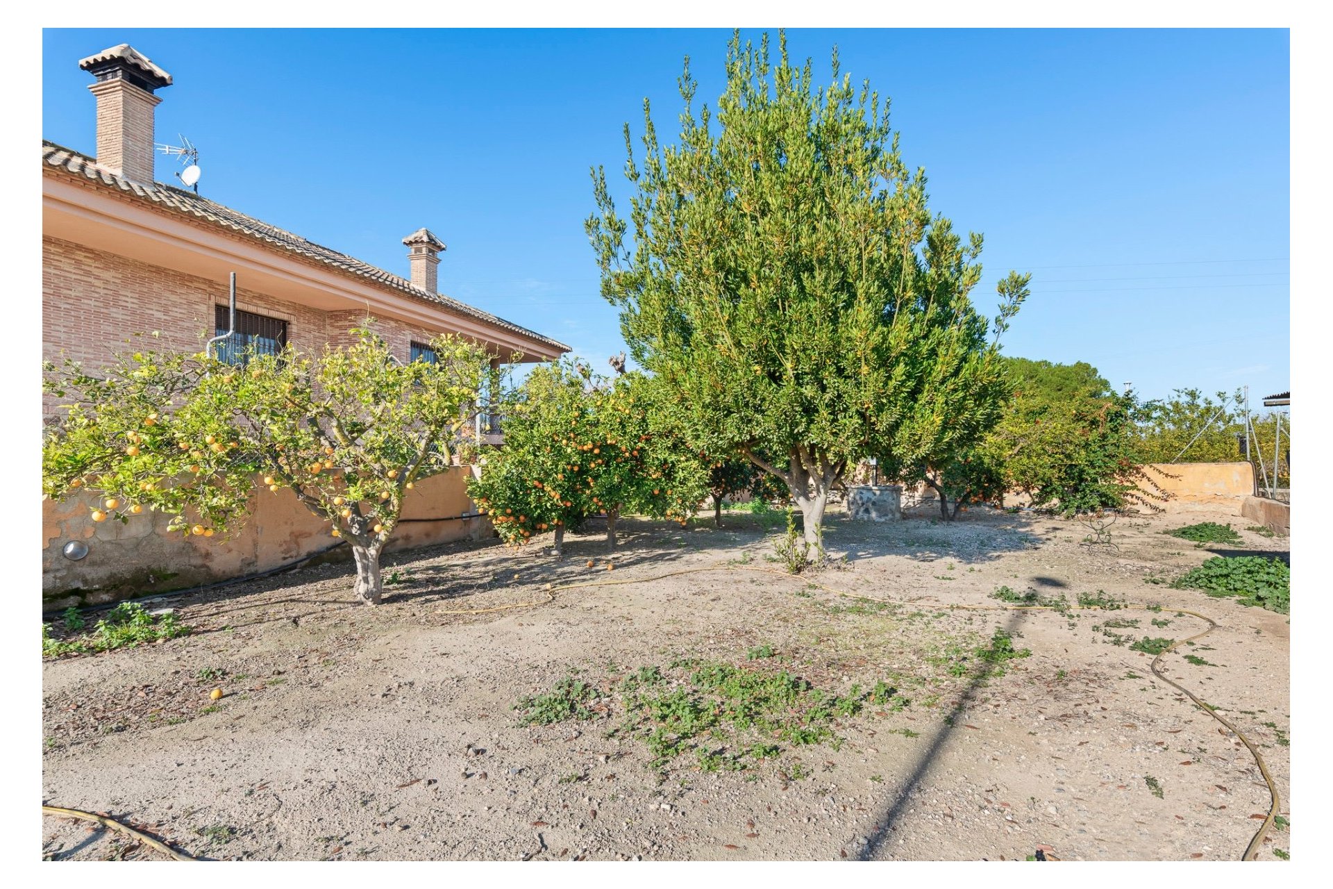 Reventa - Finca - Beniel - Carretera de Beniel