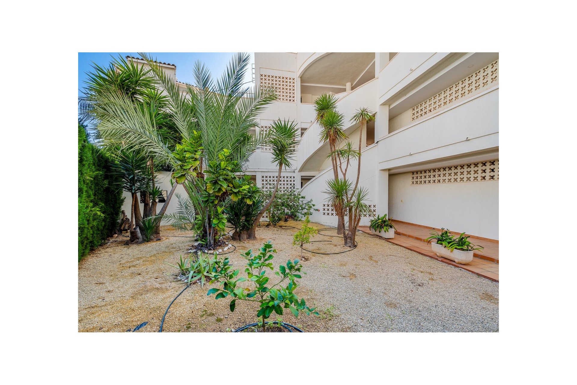 Reventa - Piso - Altea