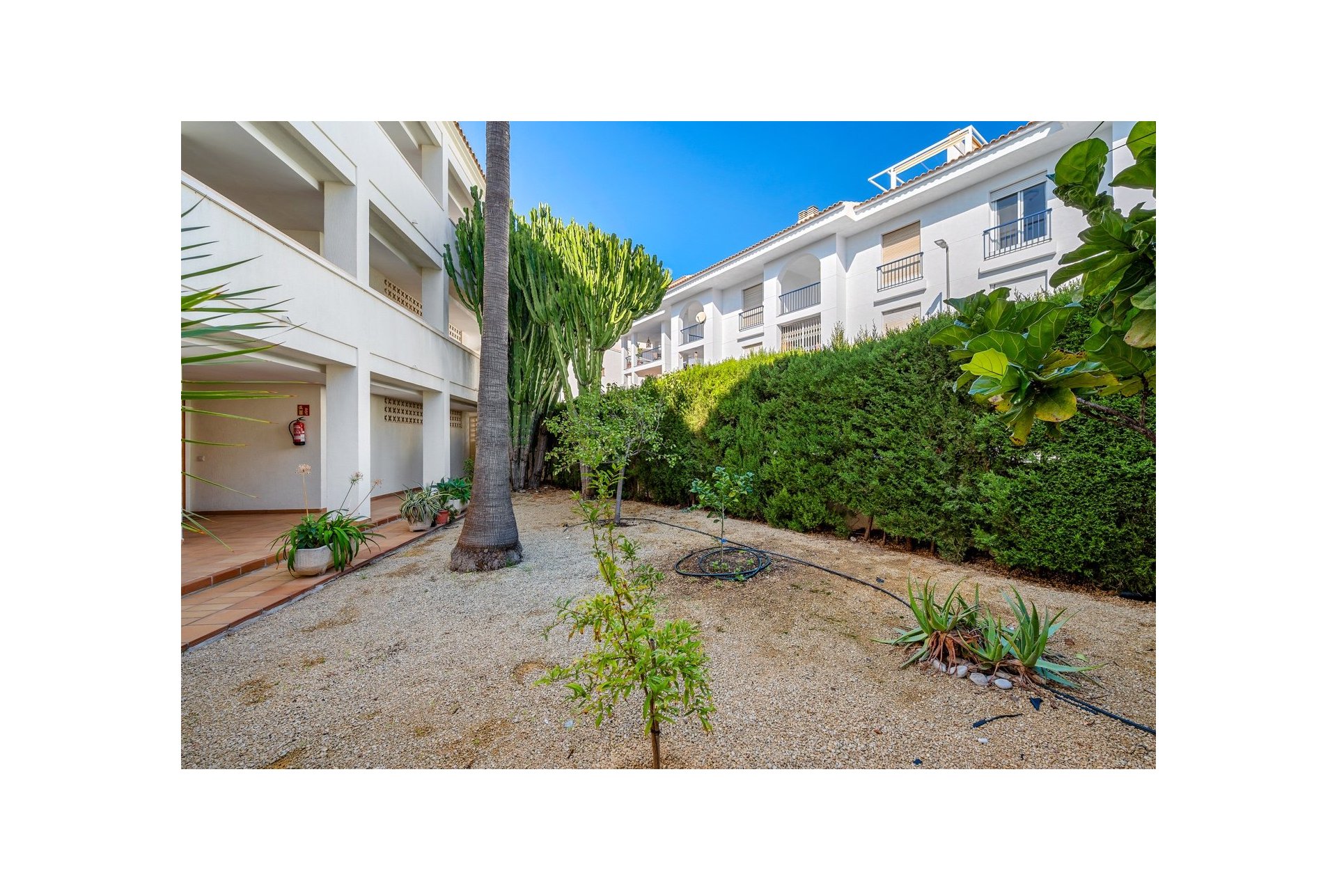 Reventa - Piso - Altea