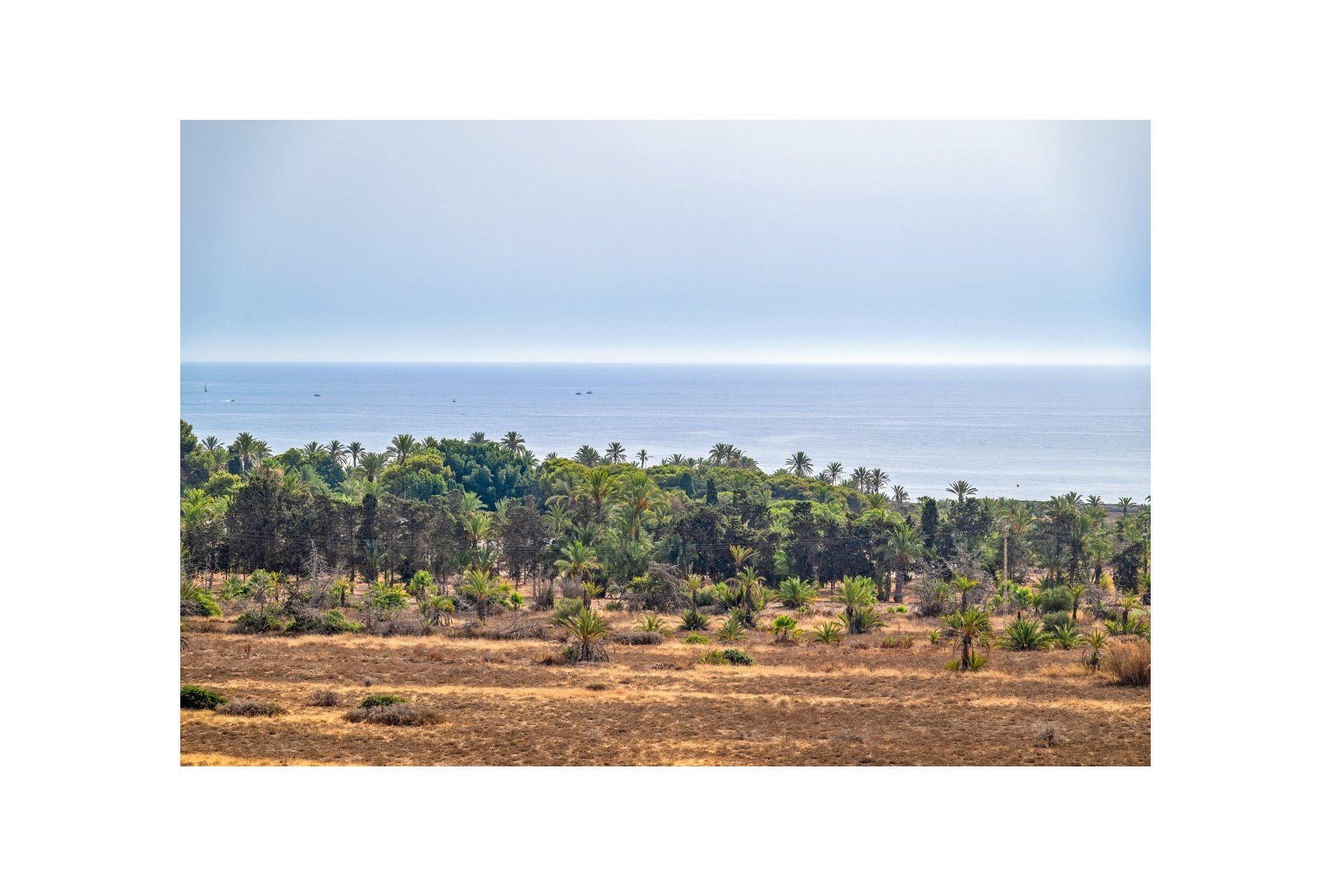 Reventa - Piso - Torrevieja - Punta Prima
