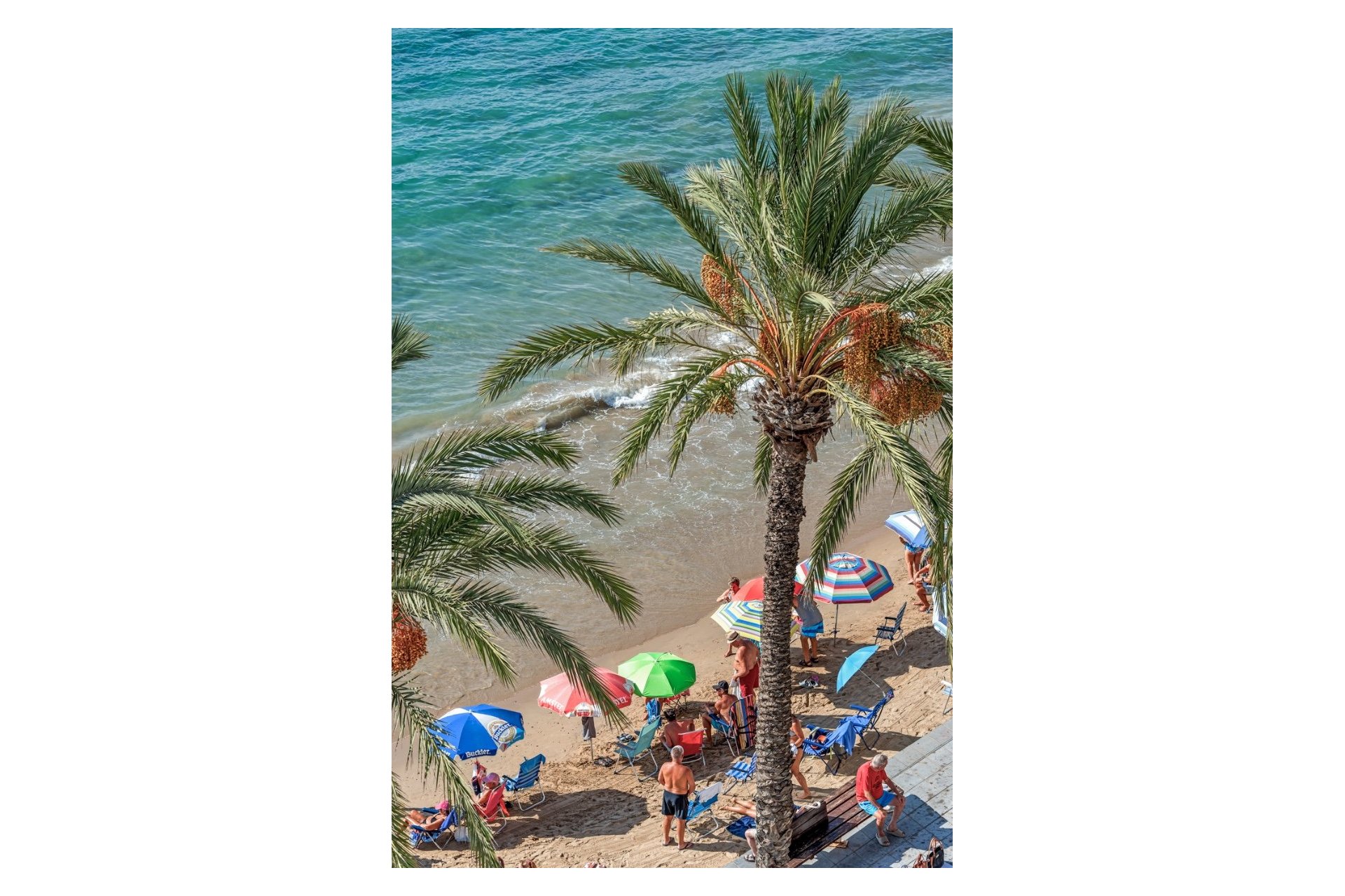 Reventa - Piso - Torrevieja