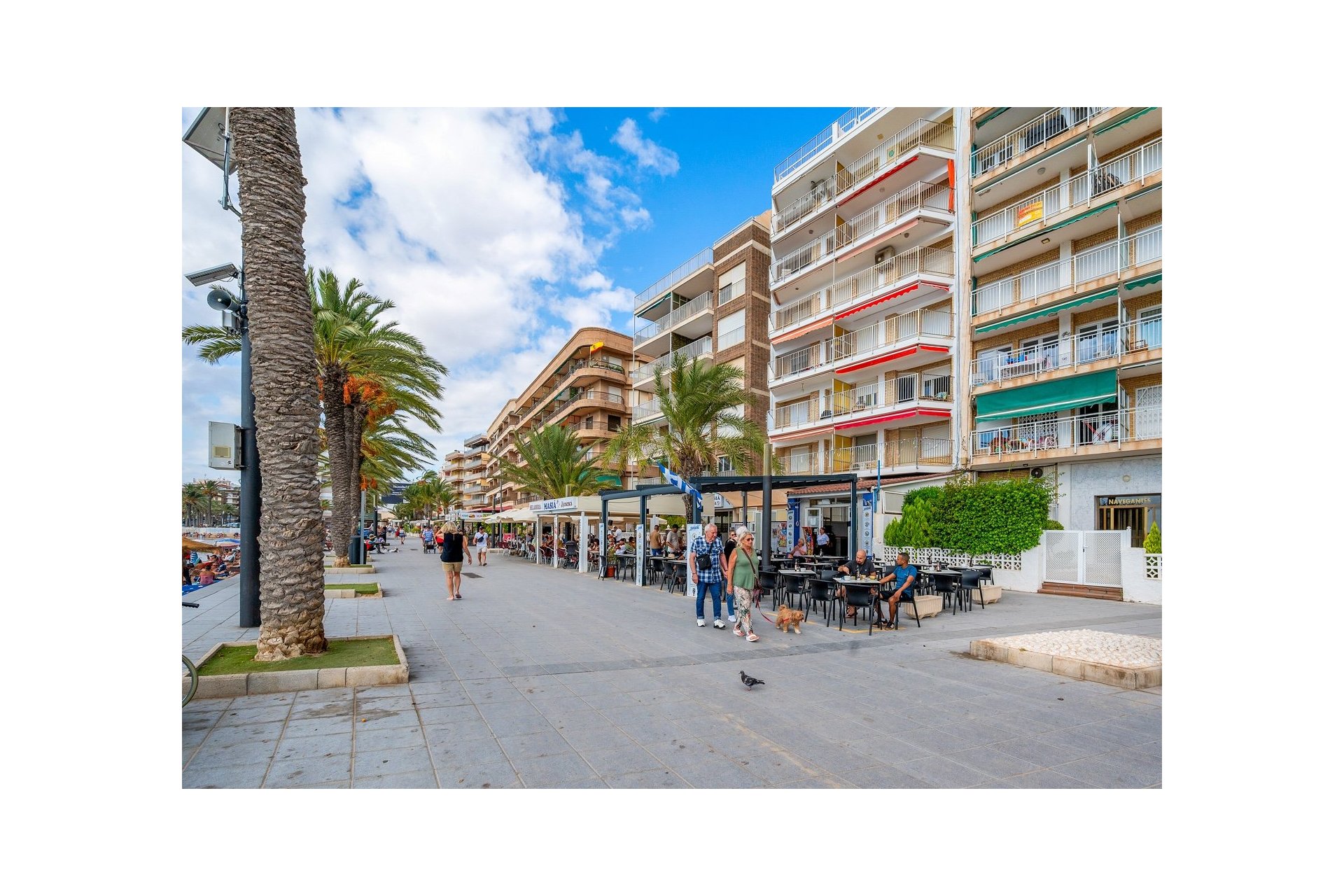 Reventa - Piso - Torrevieja
