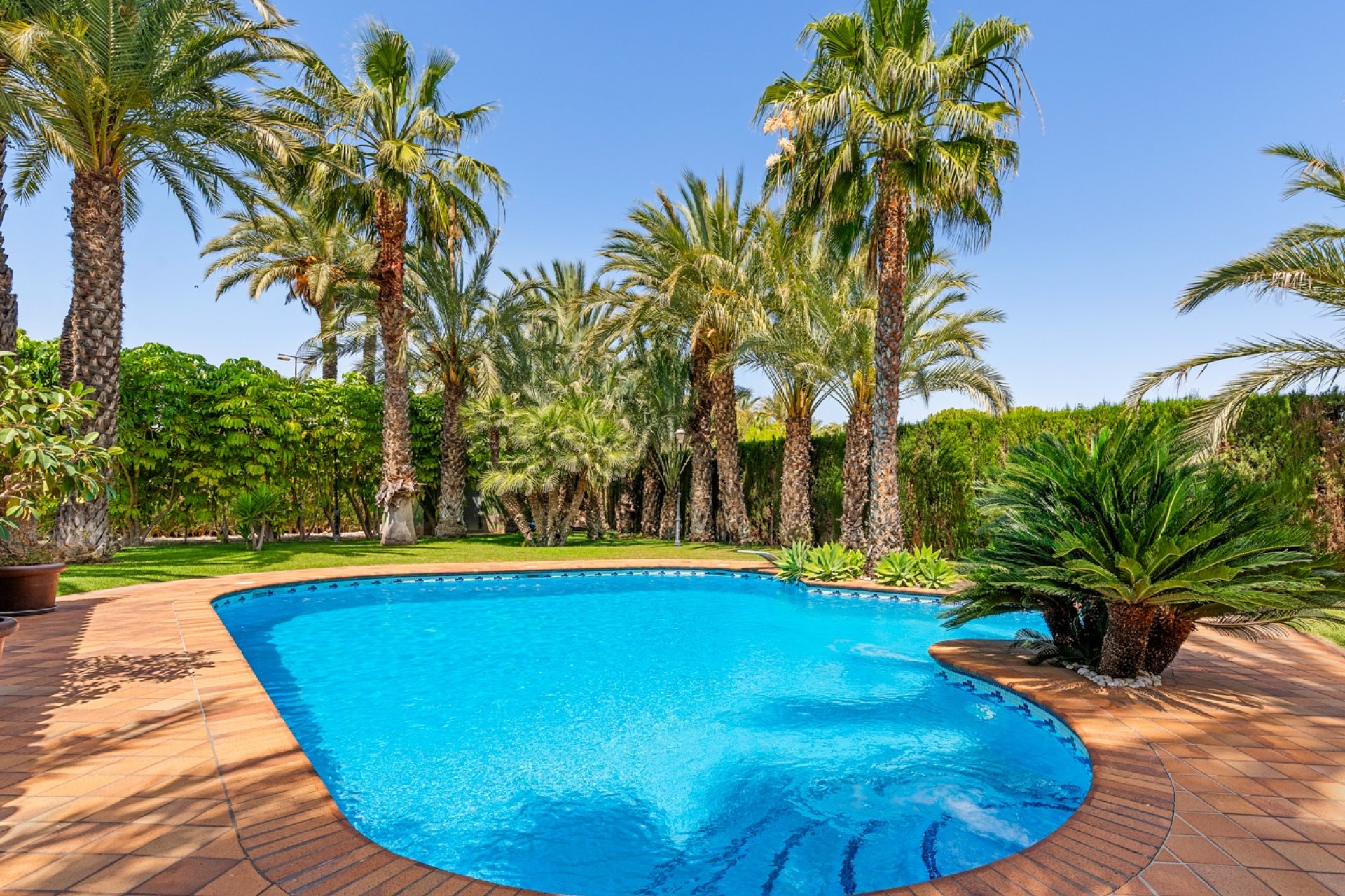 Reventa - Villa - Elche/Elx