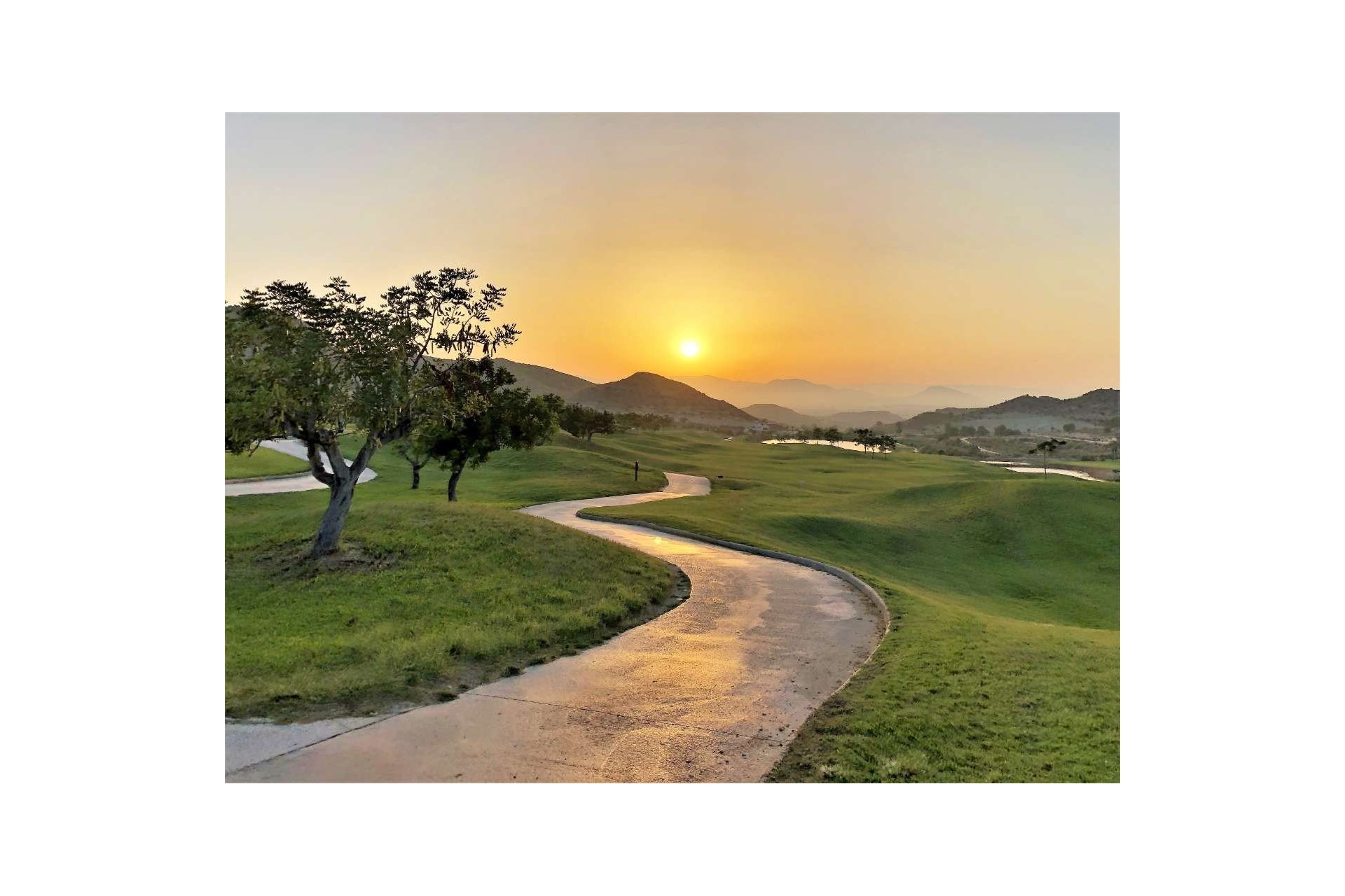 Rynek pierwotny - Apartament - Monforte del Cid - Font del Llop