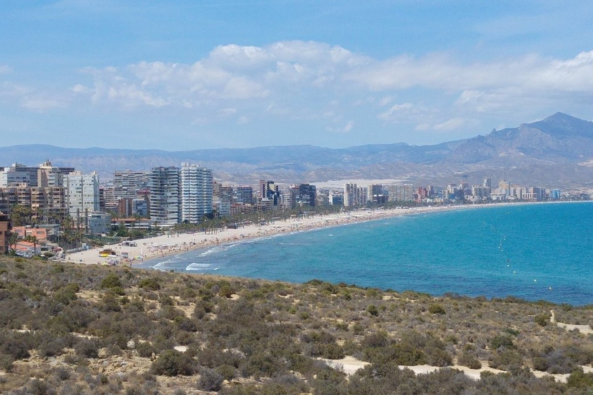 Rynek pierwotny - Apartament - San Juan Alicante - Franc Espinós
