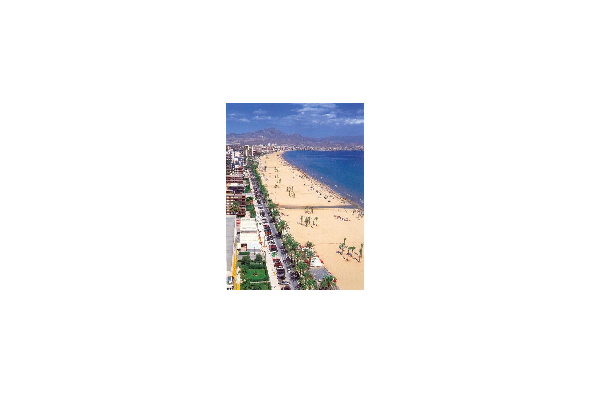 Rynek pierwotny - Apartament - San Juan Alicante - Franc Espinós