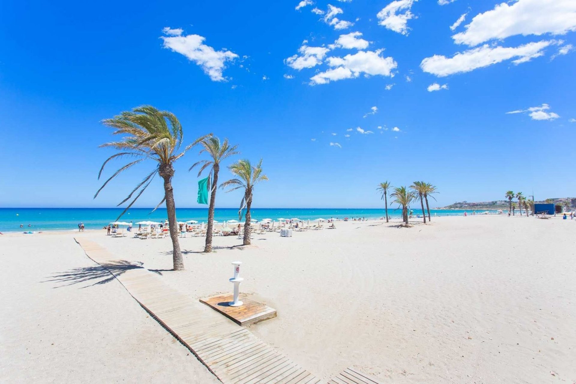 Rynek pierwotny - Apartament - San Juan Alicante - Franc Espinós