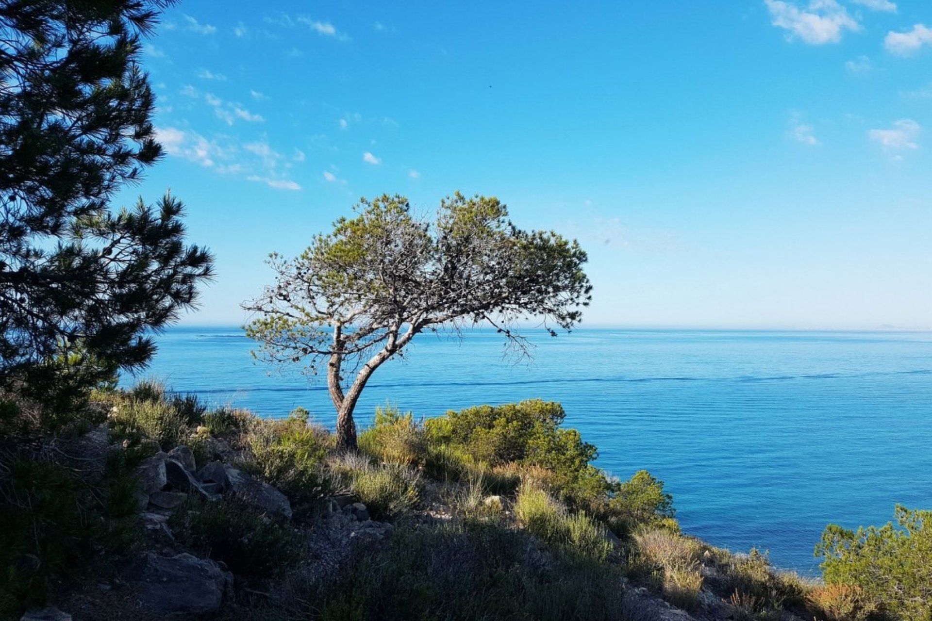 Rynek pierwotny - Apartament - Villajoyosa - Playa Les Torres