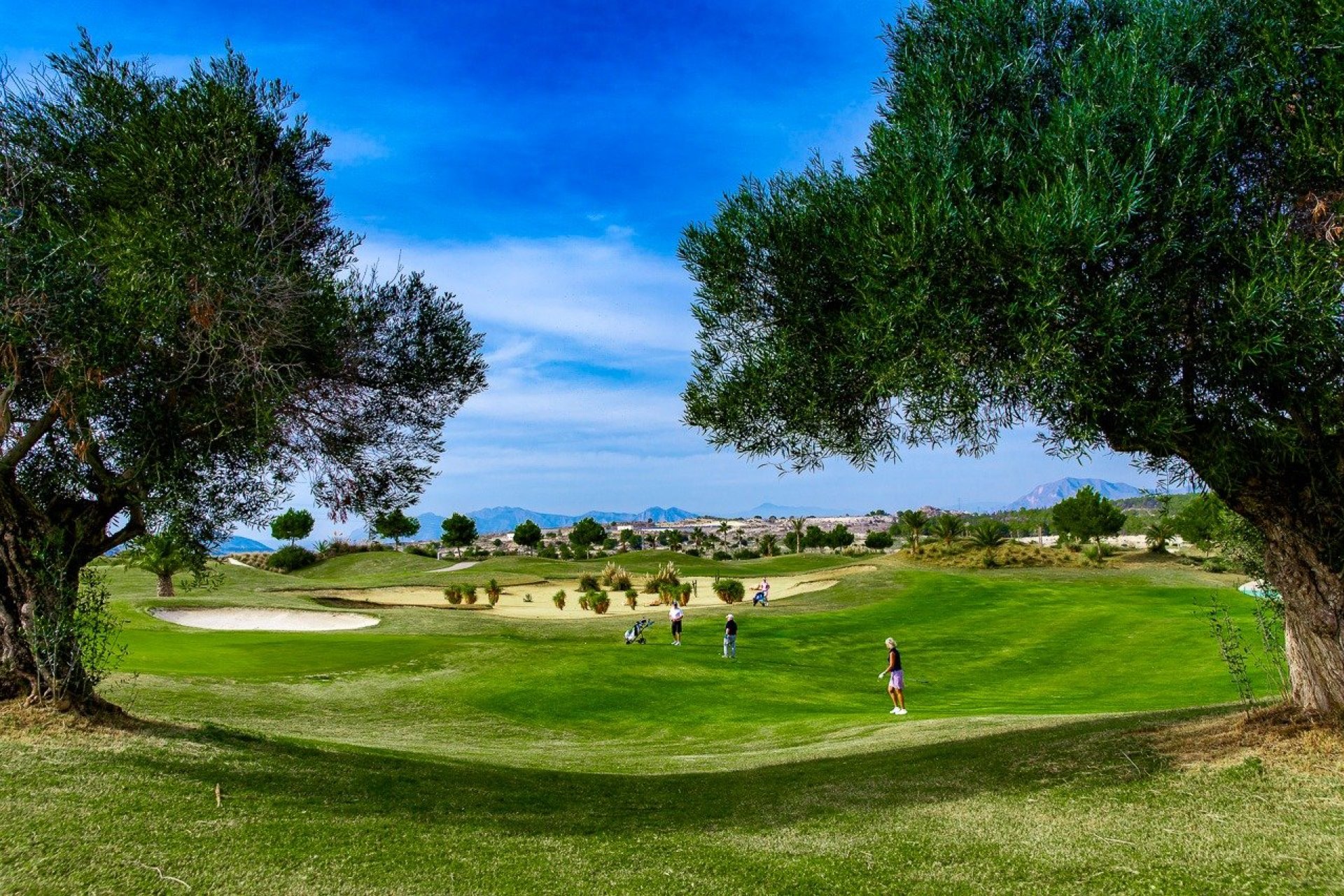Rynek pierwotny - Bungalow - Orihuela - Vistabella Golf