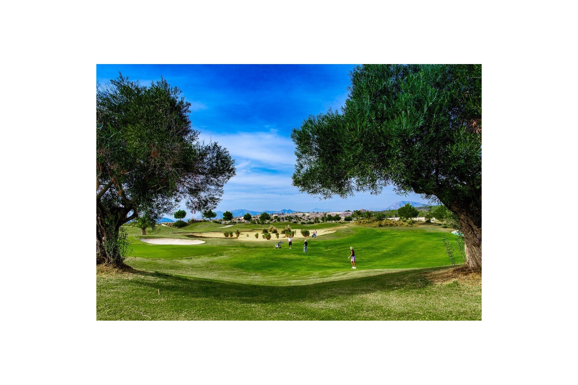 Rynek pierwotny - Bungalow - Orihuela - Vistabella Golf