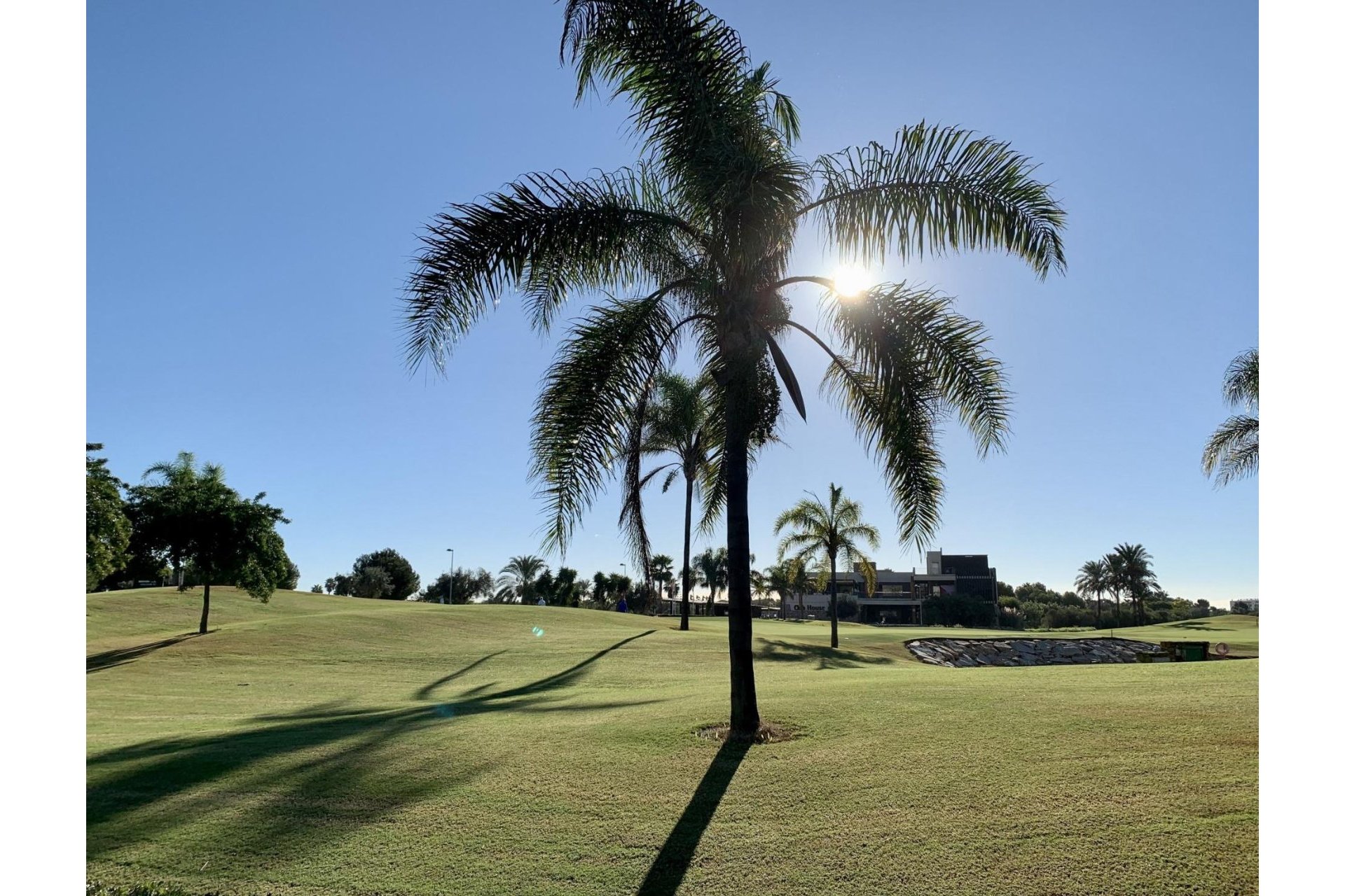 Rynek pierwotny - Bungalow - San Javier - Roda Golf