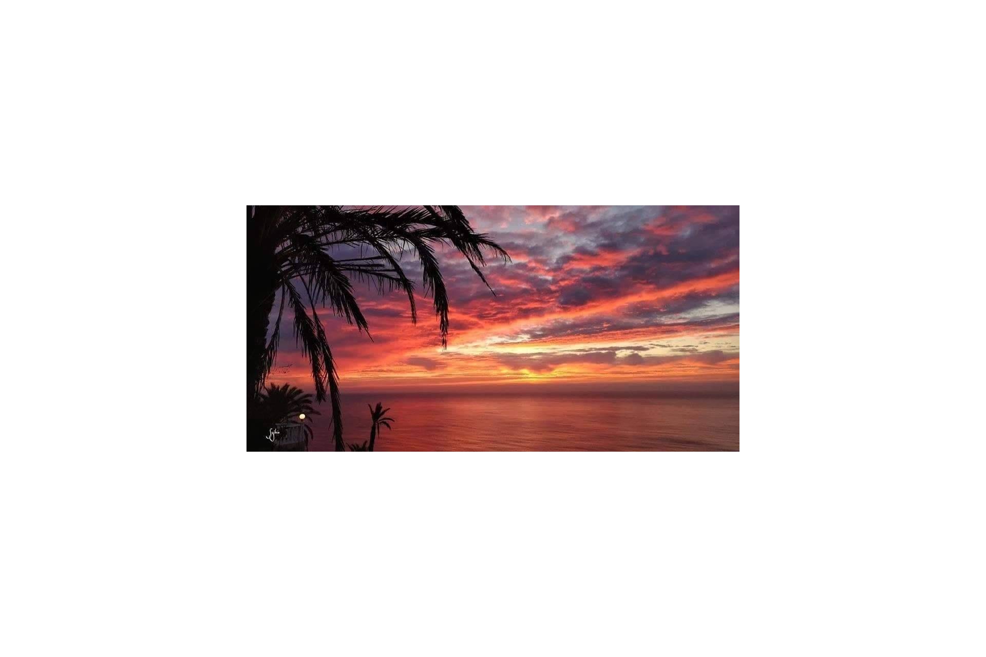 Rynek pierwotny - Bungalow - Torrevieja - Altos del Sol