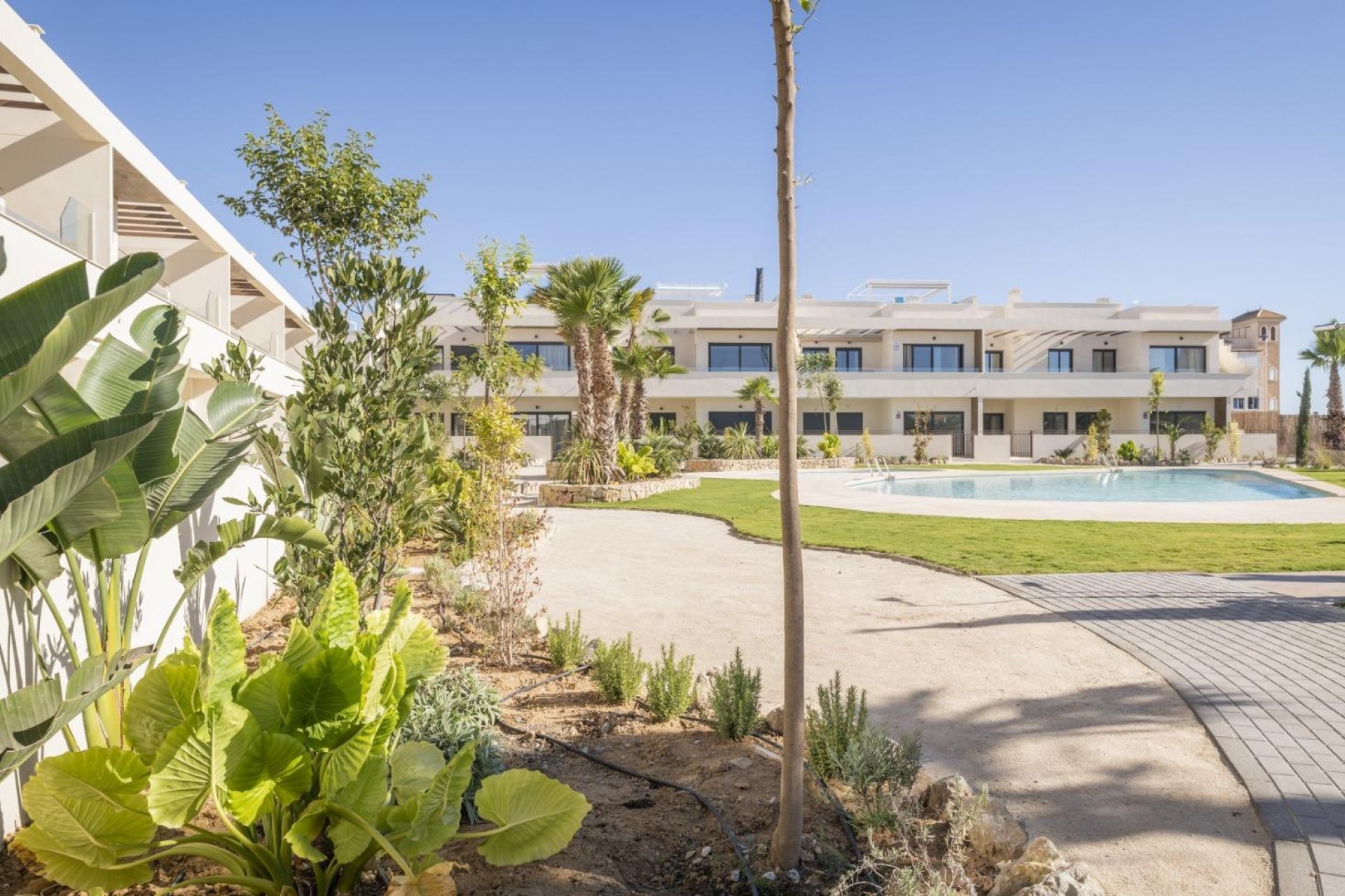 Rynek pierwotny - Bungalow - Torrevieja - La veleta