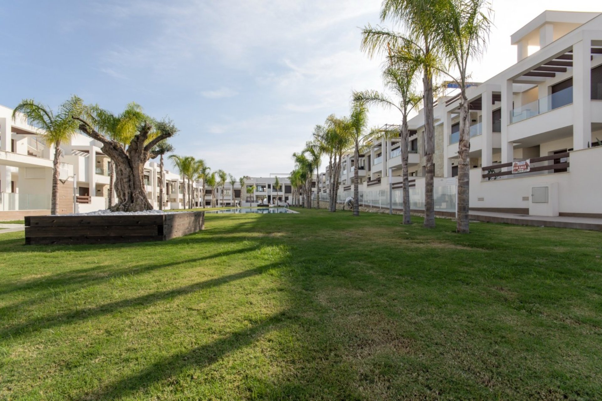 Rynek pierwotny - Bungalow - Torrevieja - Los Balcones