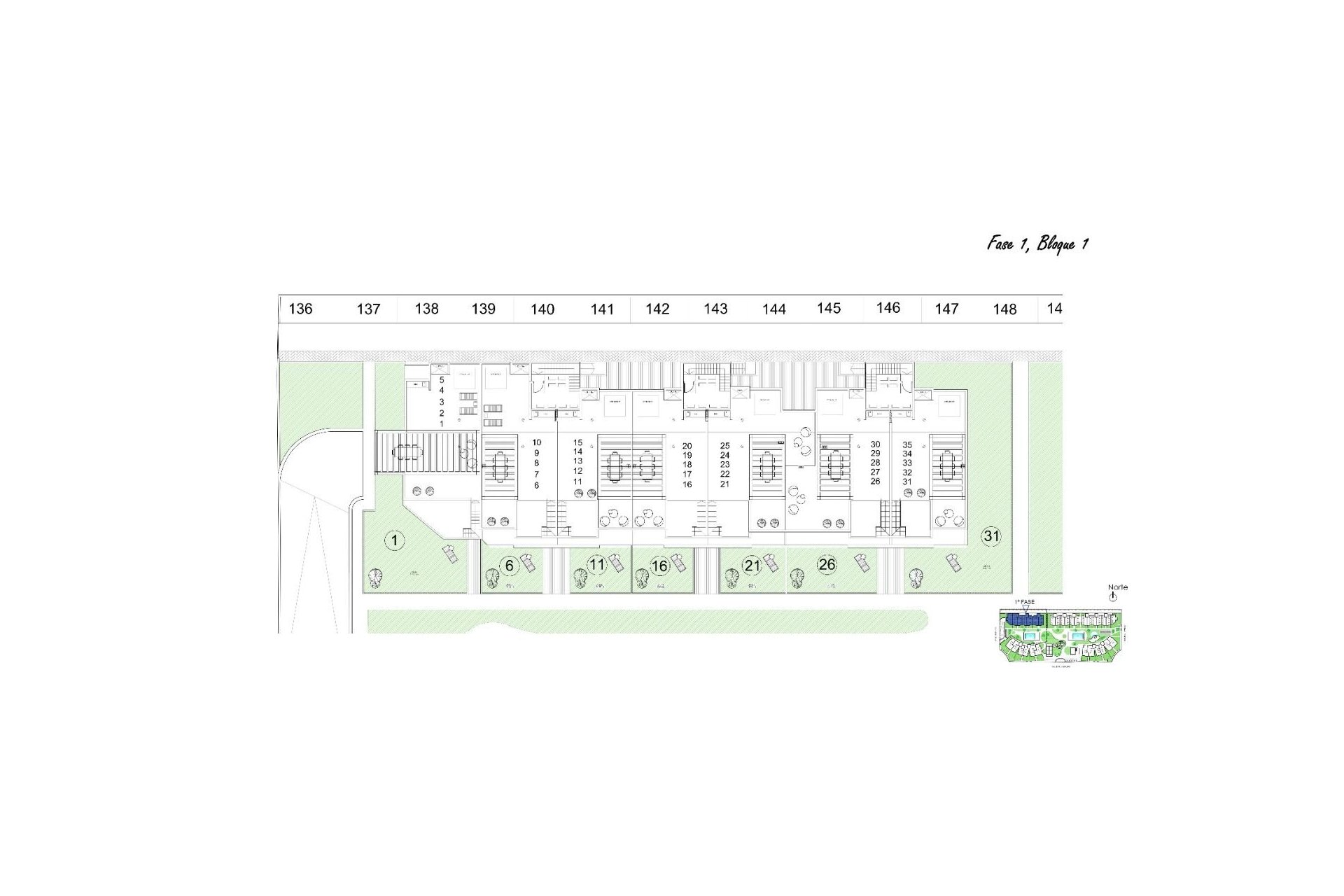 Rynek pierwotny - Daszek - Guardamar del Segura - El Raso