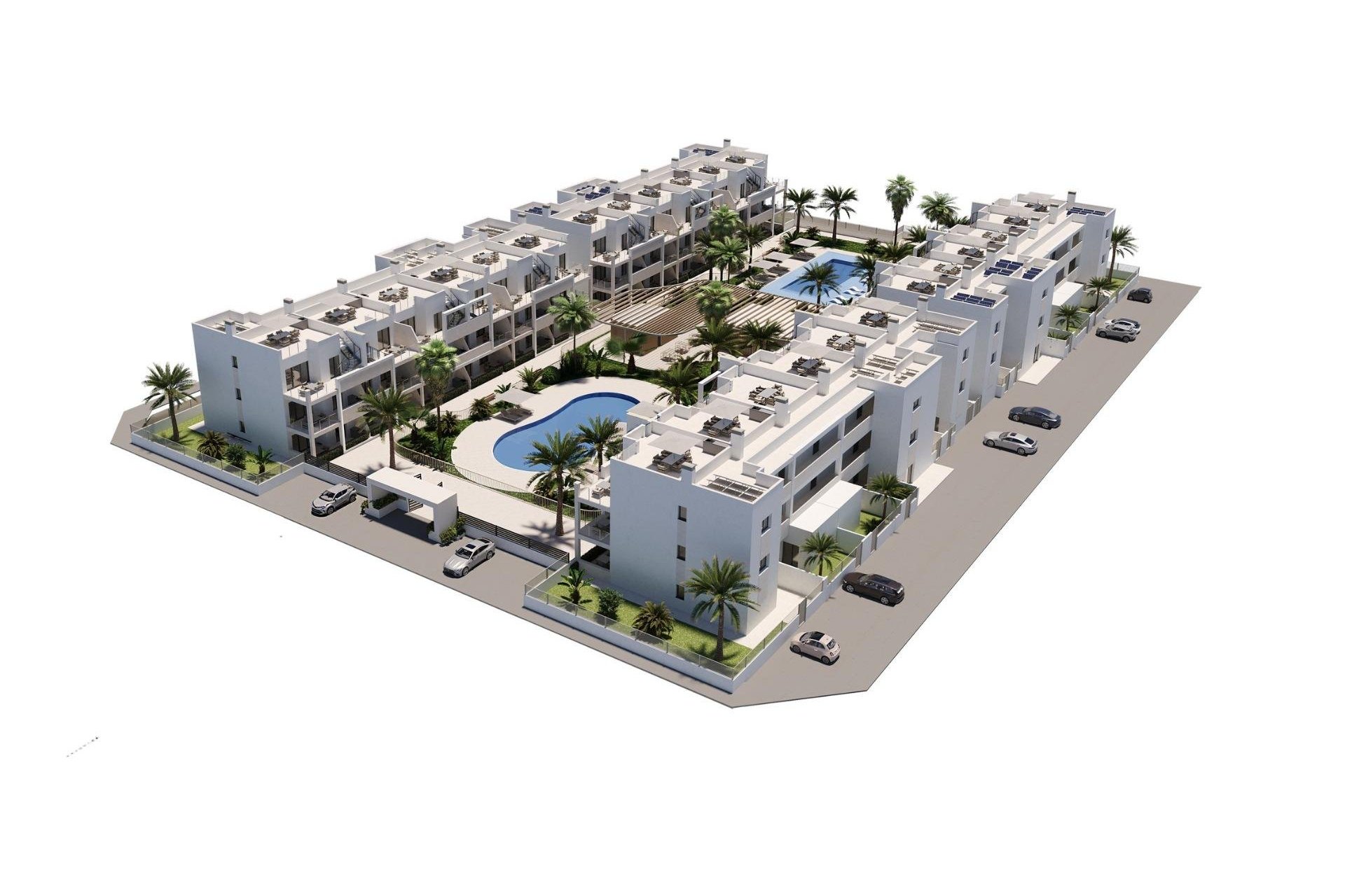 Rynek pierwotny - Daszek - Torre Pacheco - San Cayetano