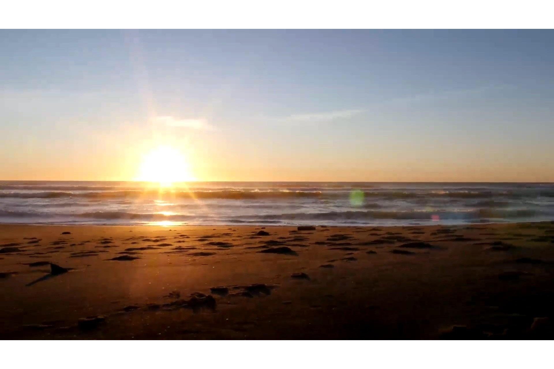 Rynek pierwotny - Daszek - Torrevieja - Centro