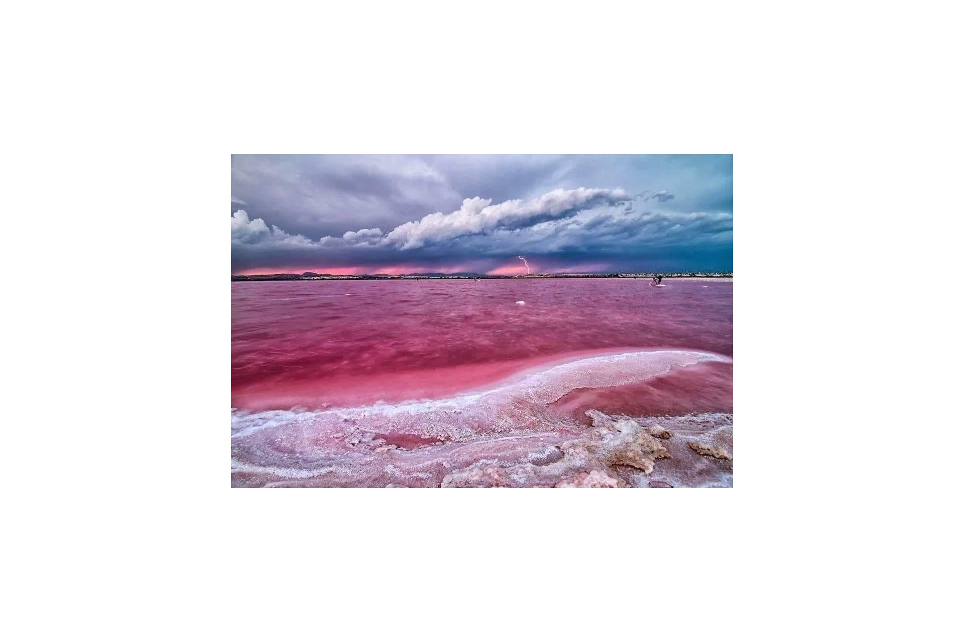 Rynek pierwotny - Daszek - Torrevieja - Centro