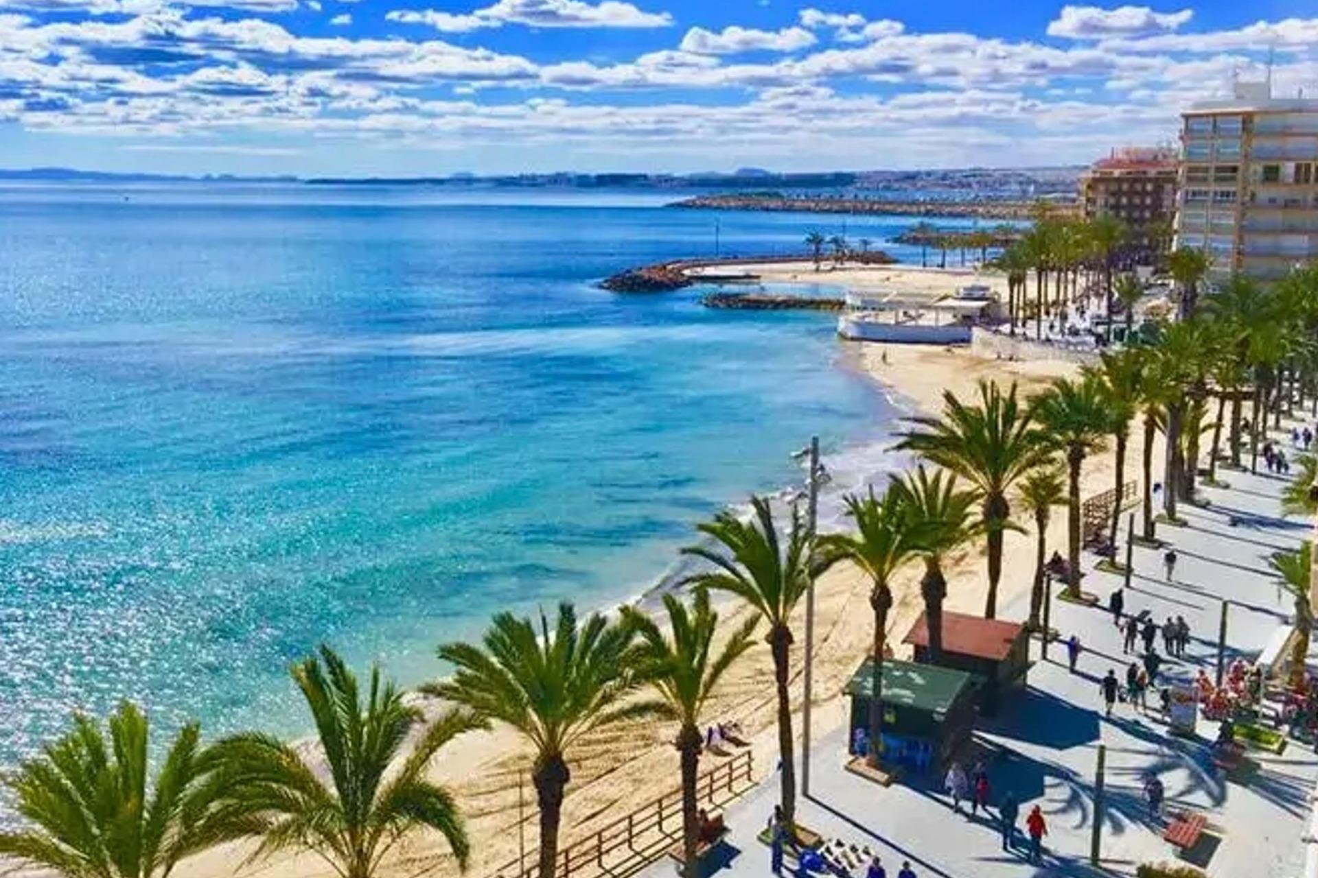 Rynek pierwotny - Daszek - Torrevieja - Playa de El Cura