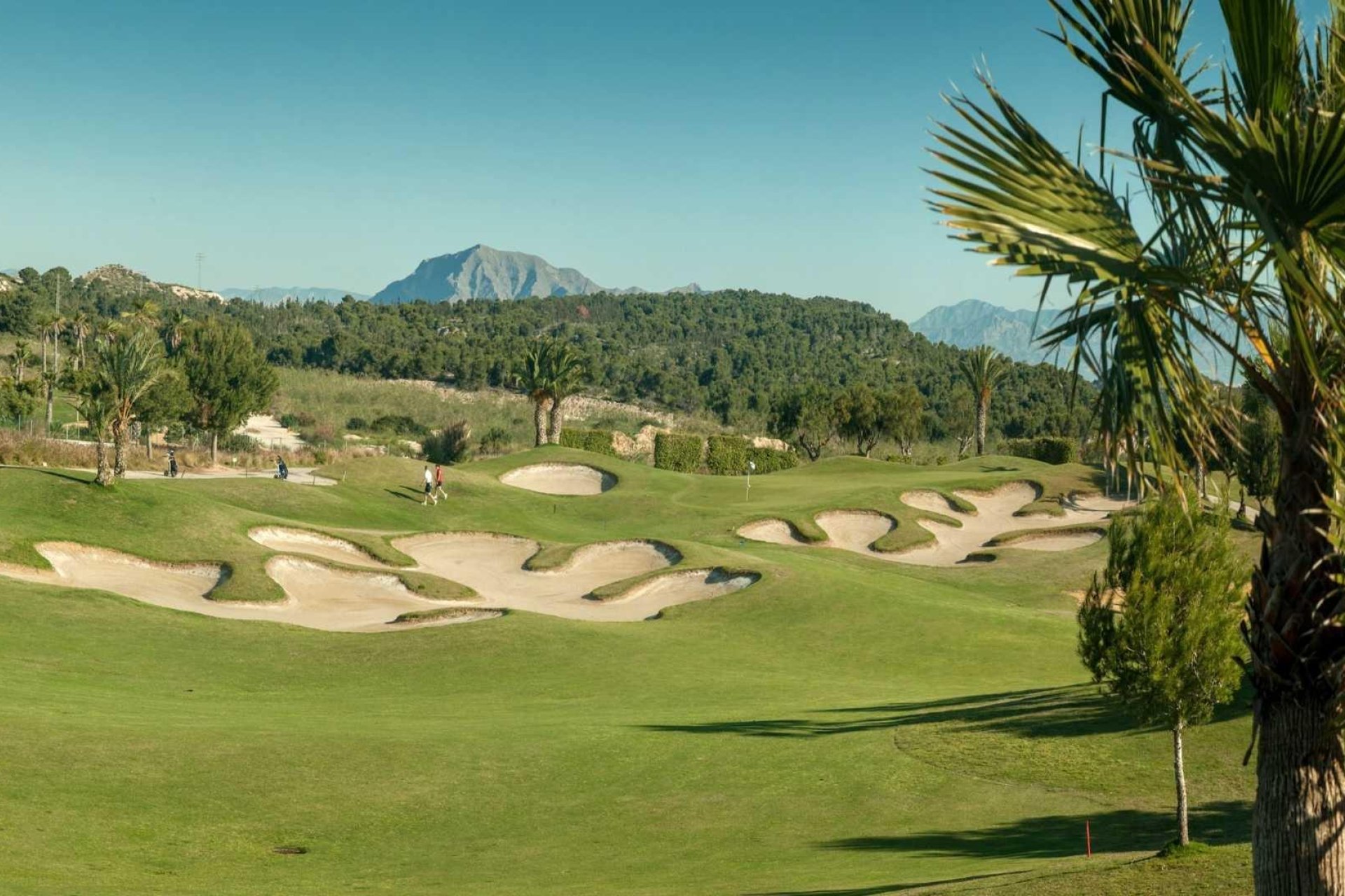 Rynek pierwotny - Town House - Orihuela - Vistabella Golf