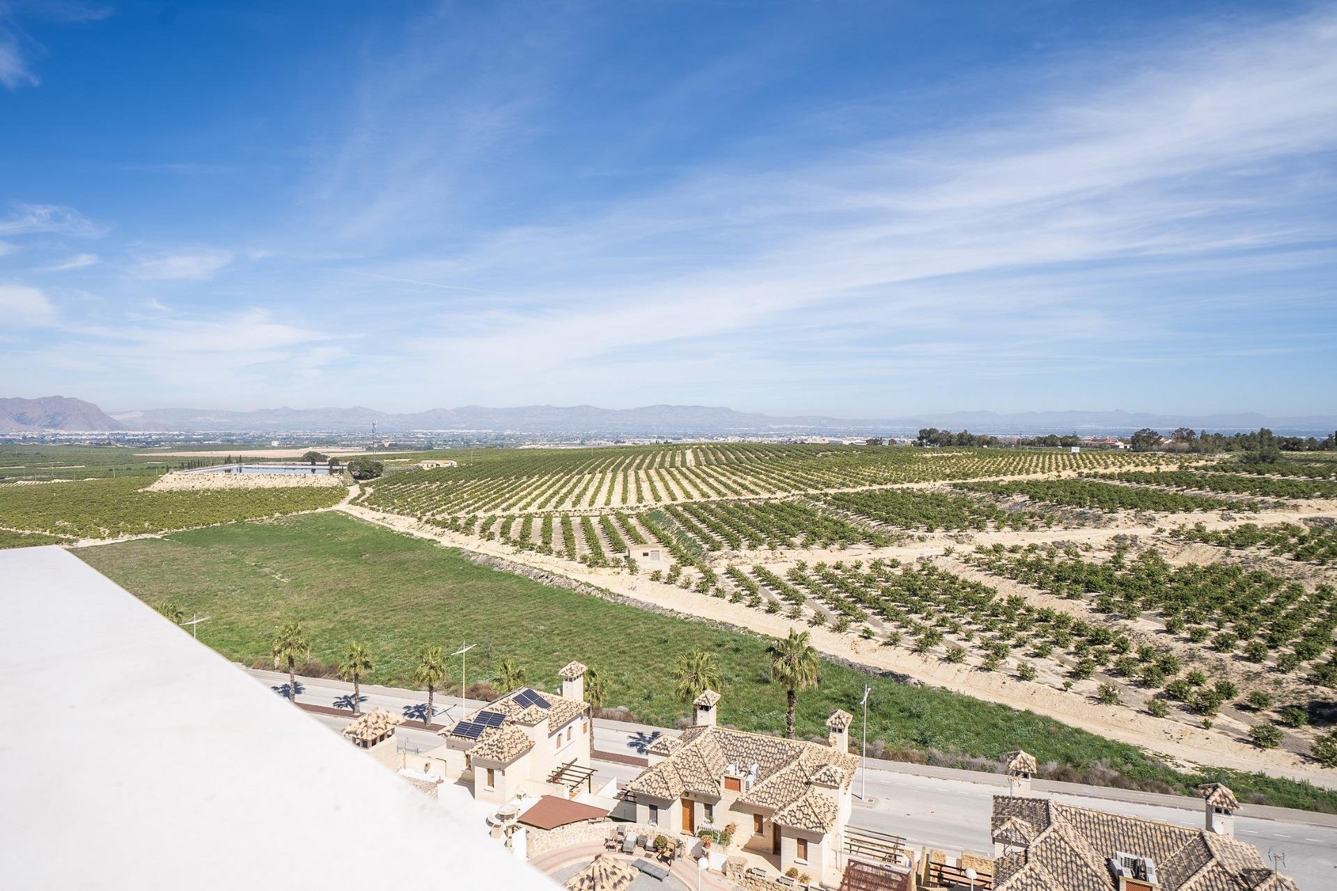 Rynek pierwotny - Villa - Algorfa - La finca golf