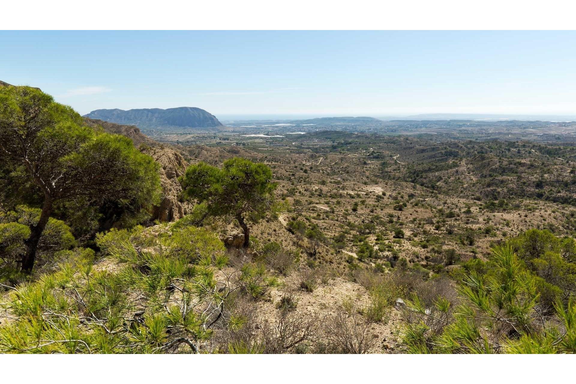Rynek pierwotny - Villa - Aspe - Centro