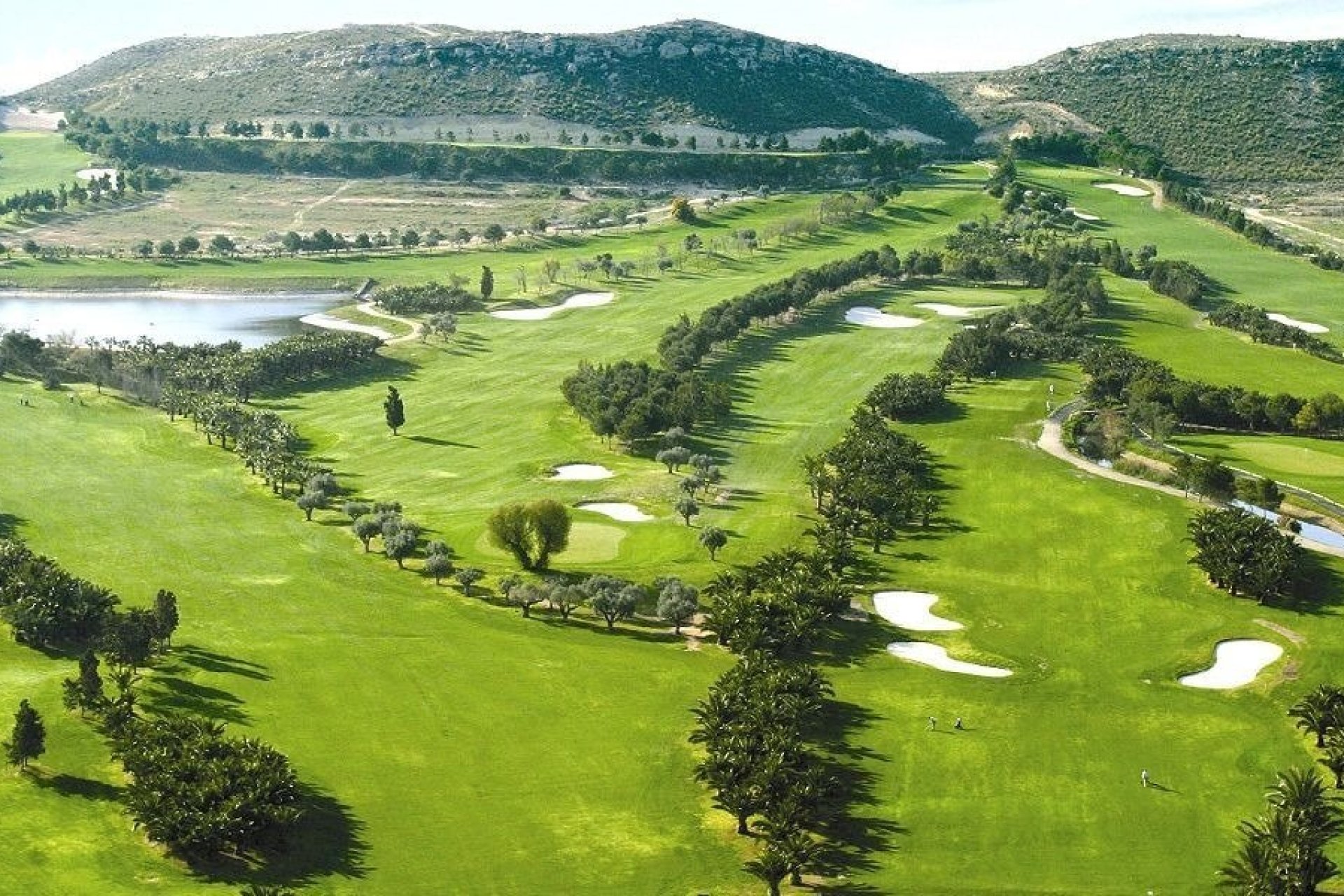 Rynek pierwotny - Villa - BAÑOS Y MENDIGO - Altaona Golf