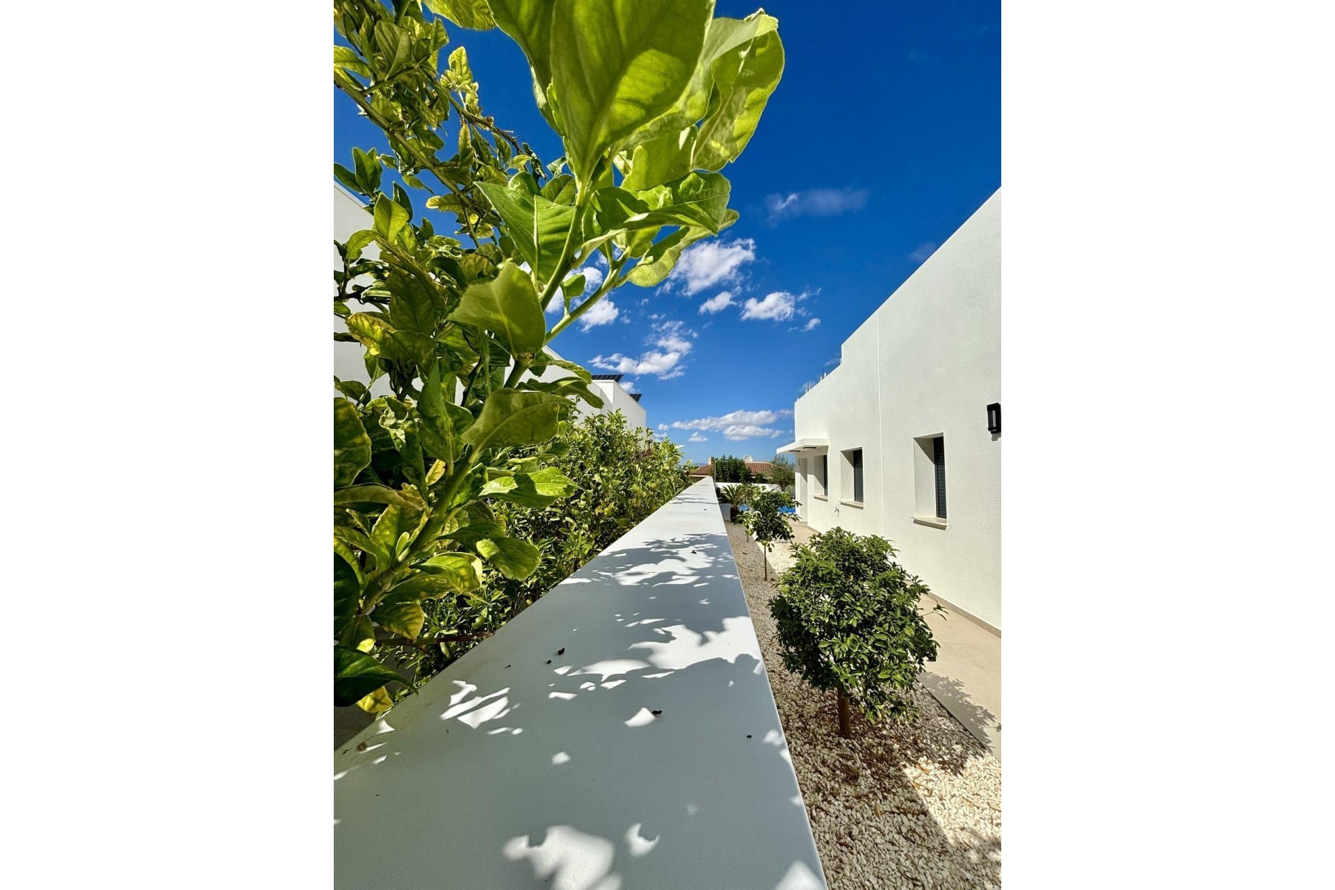 Rynek pierwotny - Villa - Benijofar - Pueblo